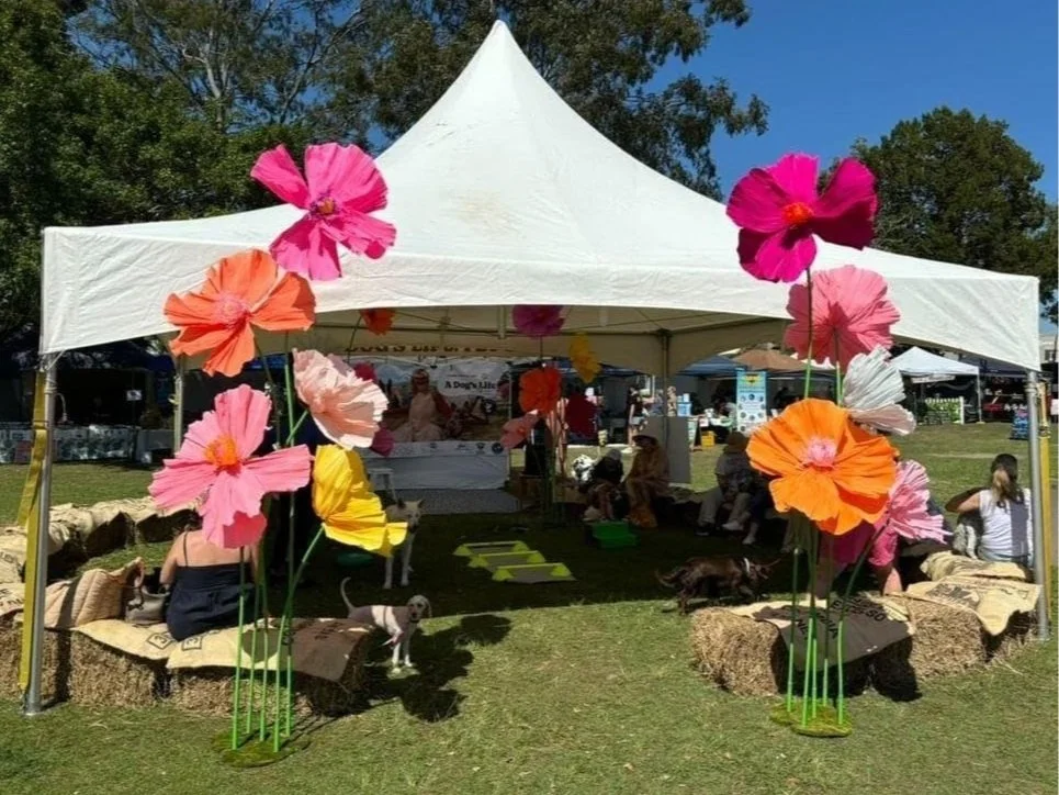 White Pavilion Marquees