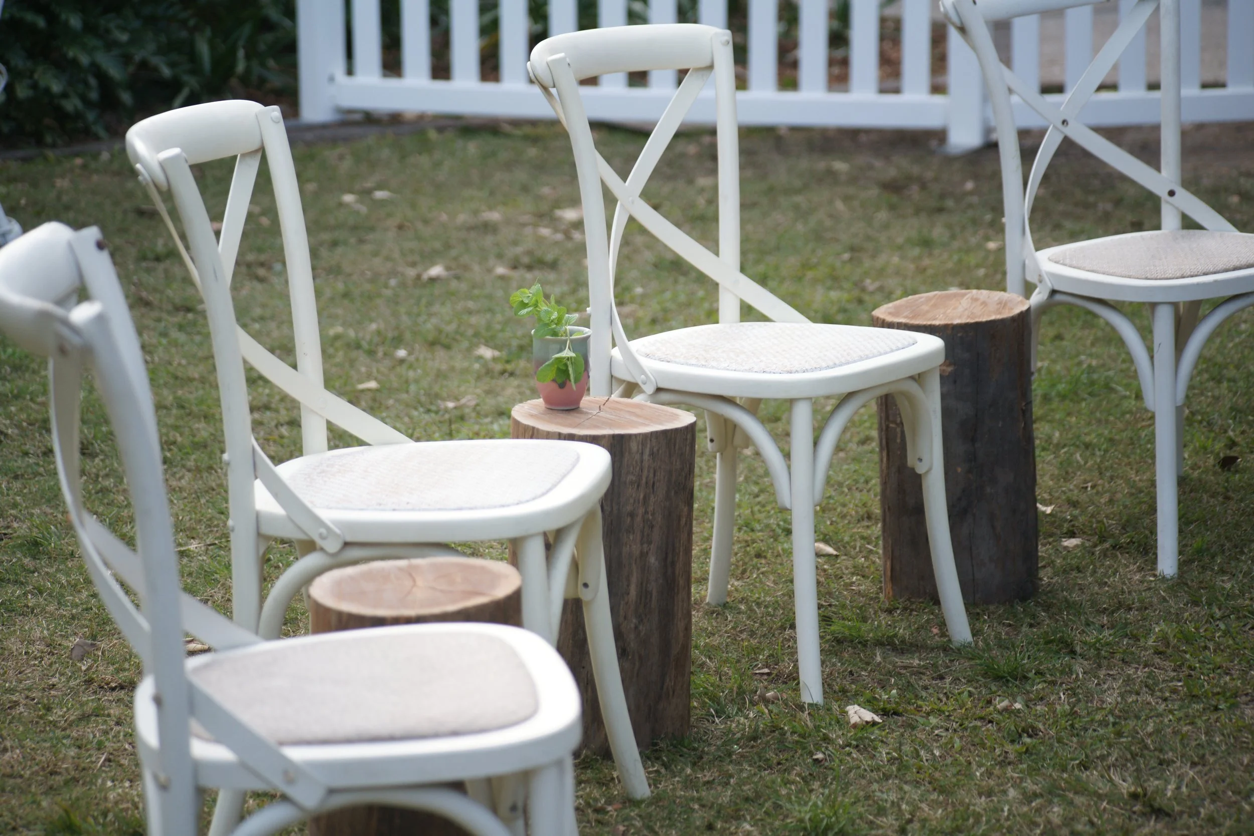 White Bentwood Style Chairs