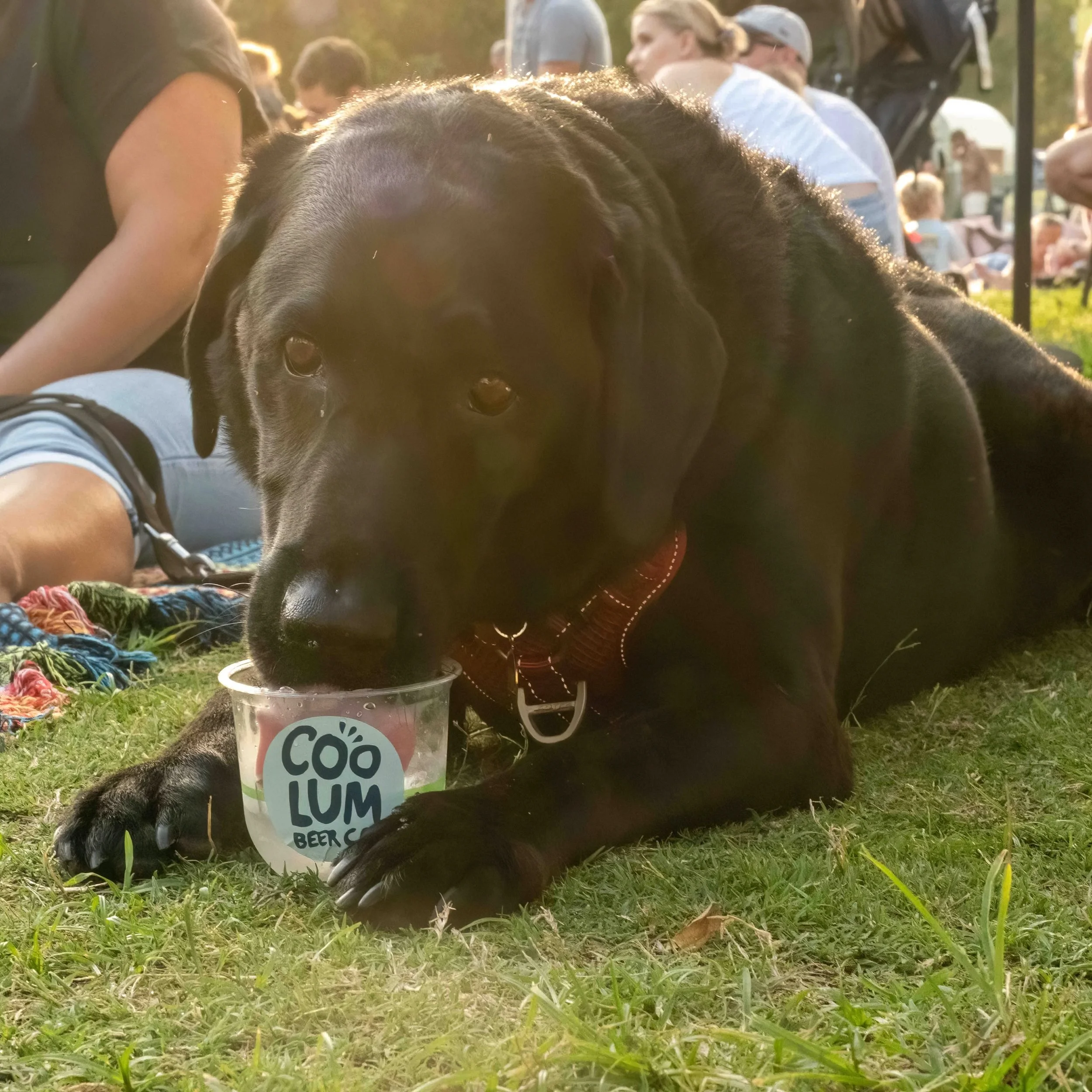 Saltys (23 of 28).JPG