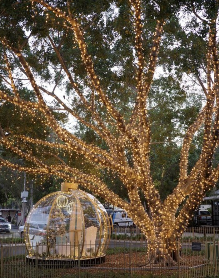 Gold Dome inside.jpg