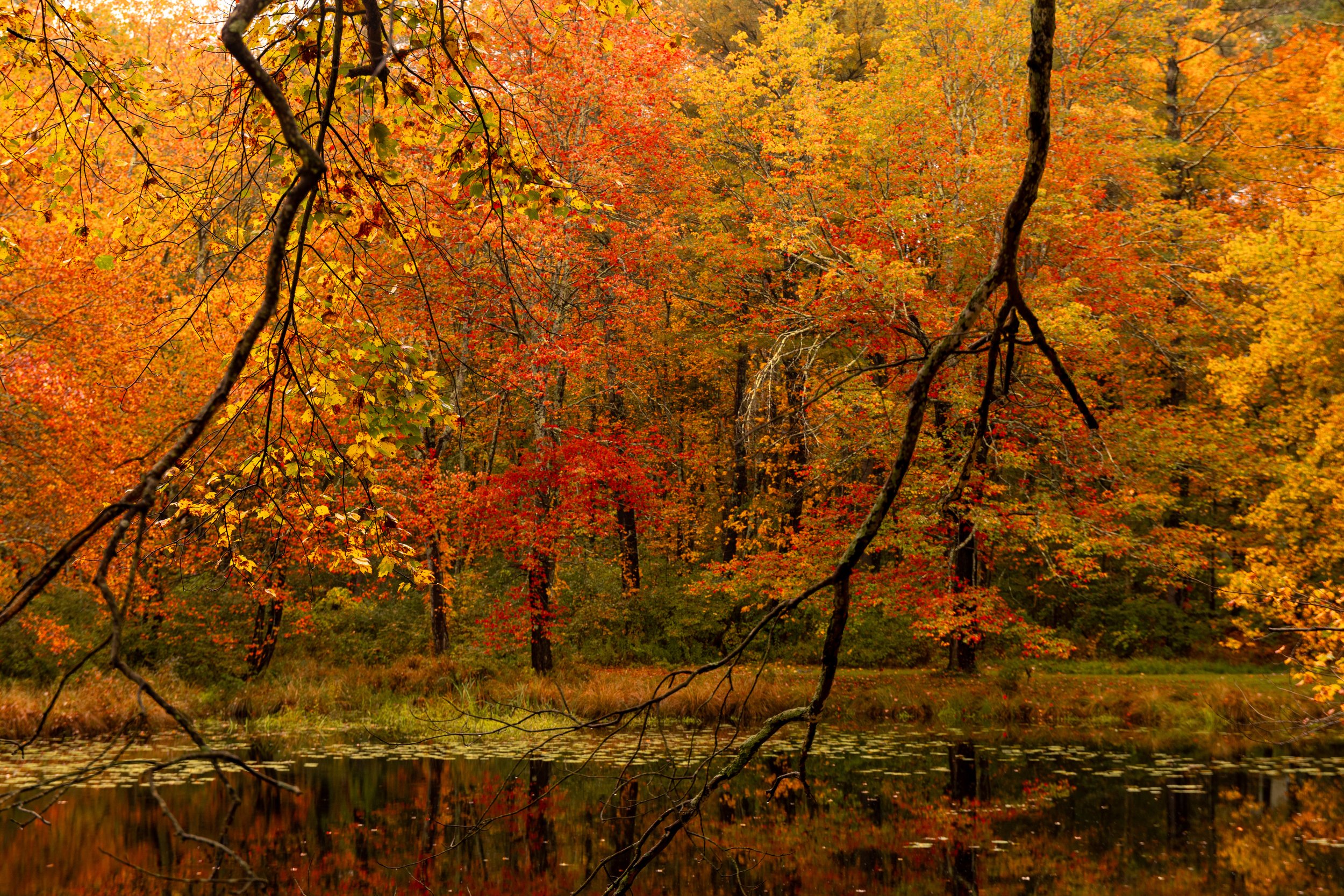 October, 2023, Charlton, MA