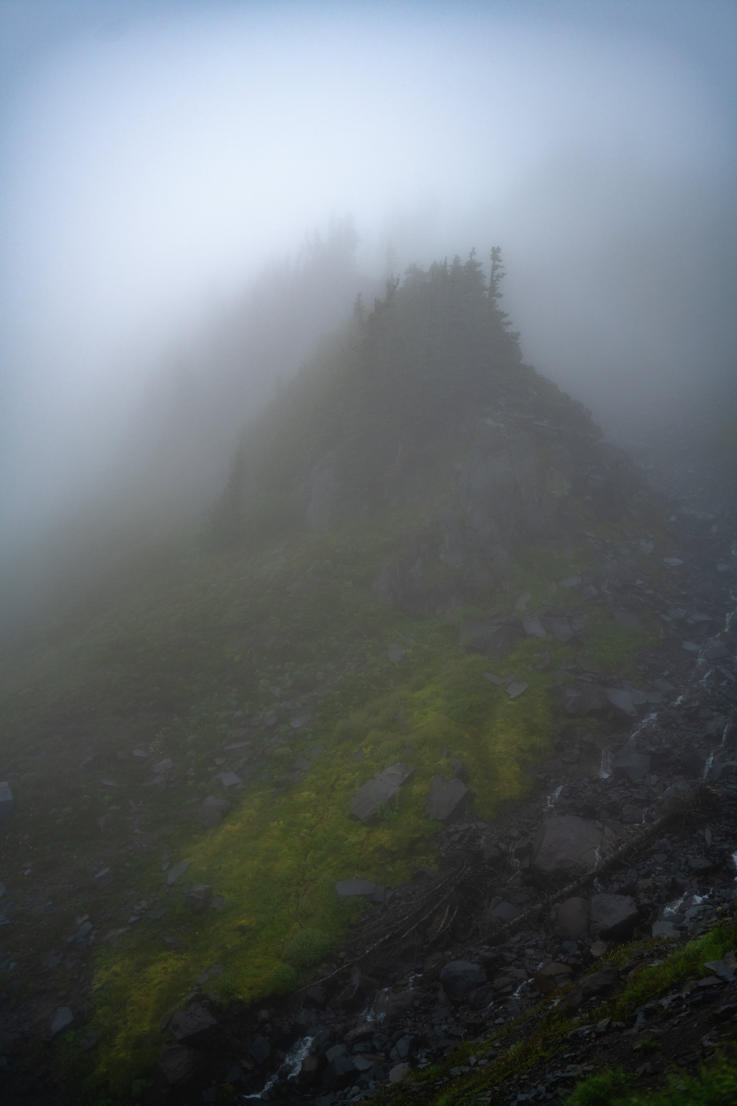 August, 2024, Ashford, WA