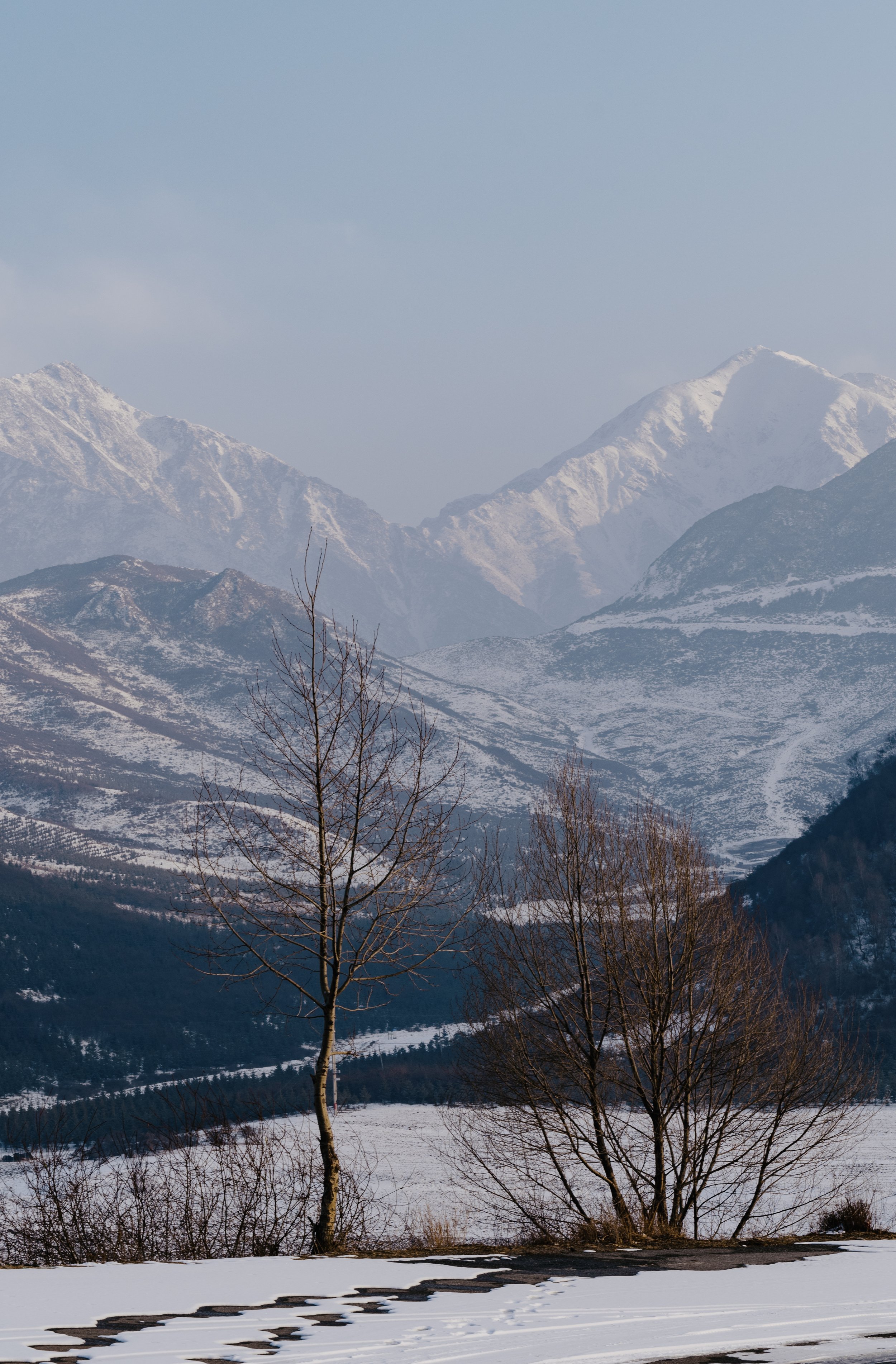 2025, February, Daban Mountain, Qinghai