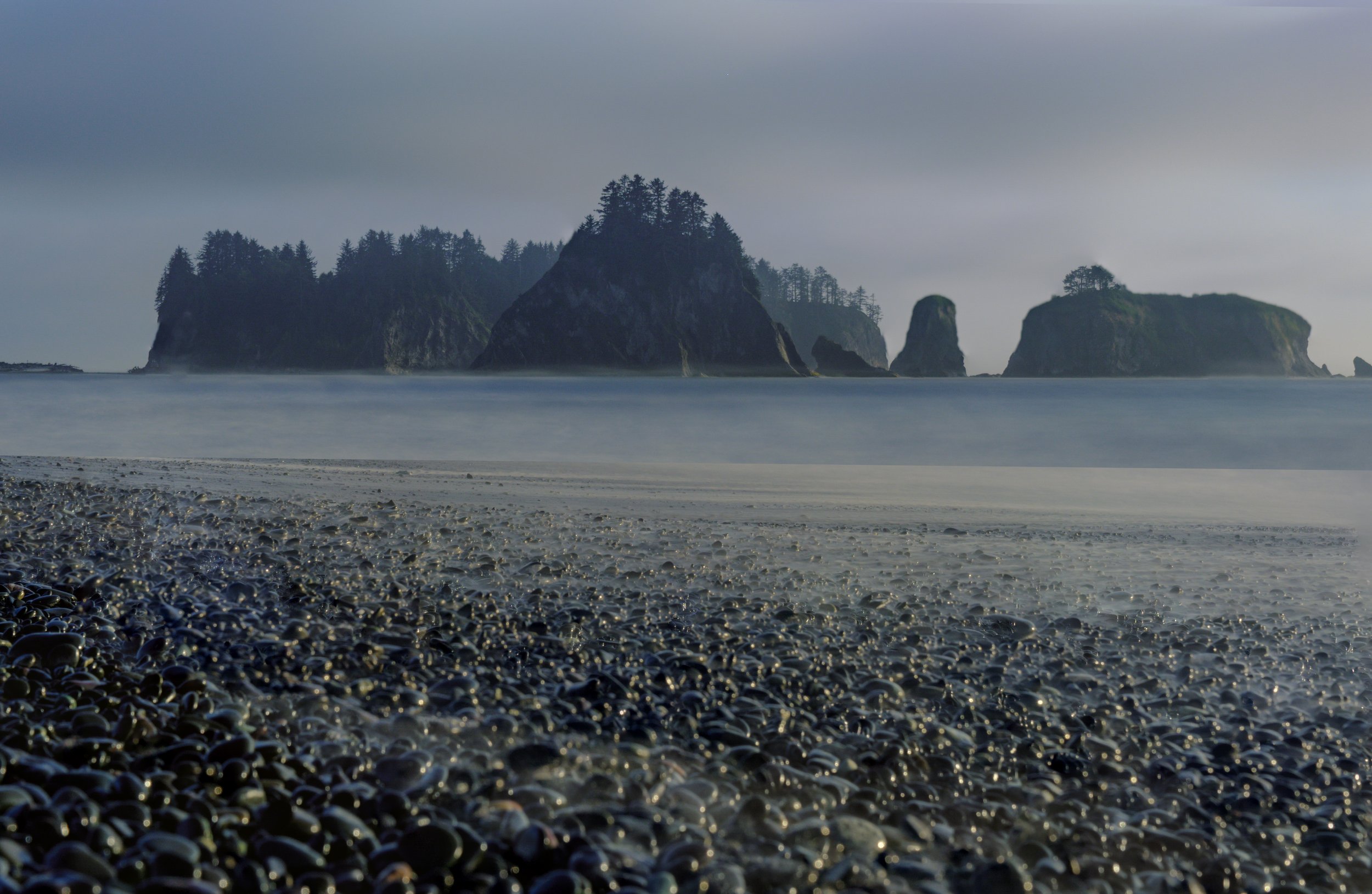 August, 2024, Forks, WA