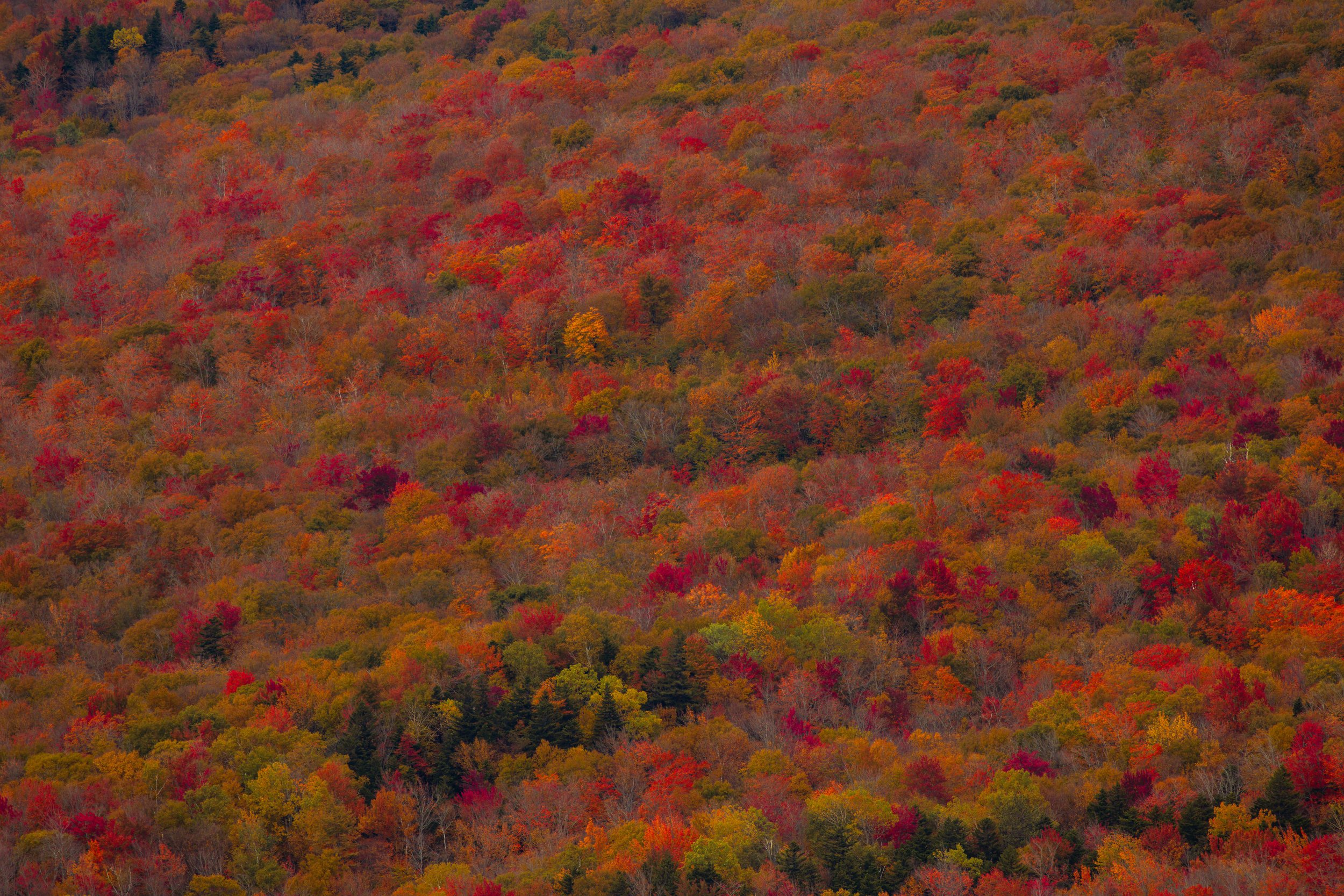 October, 2023, Franconia, NH