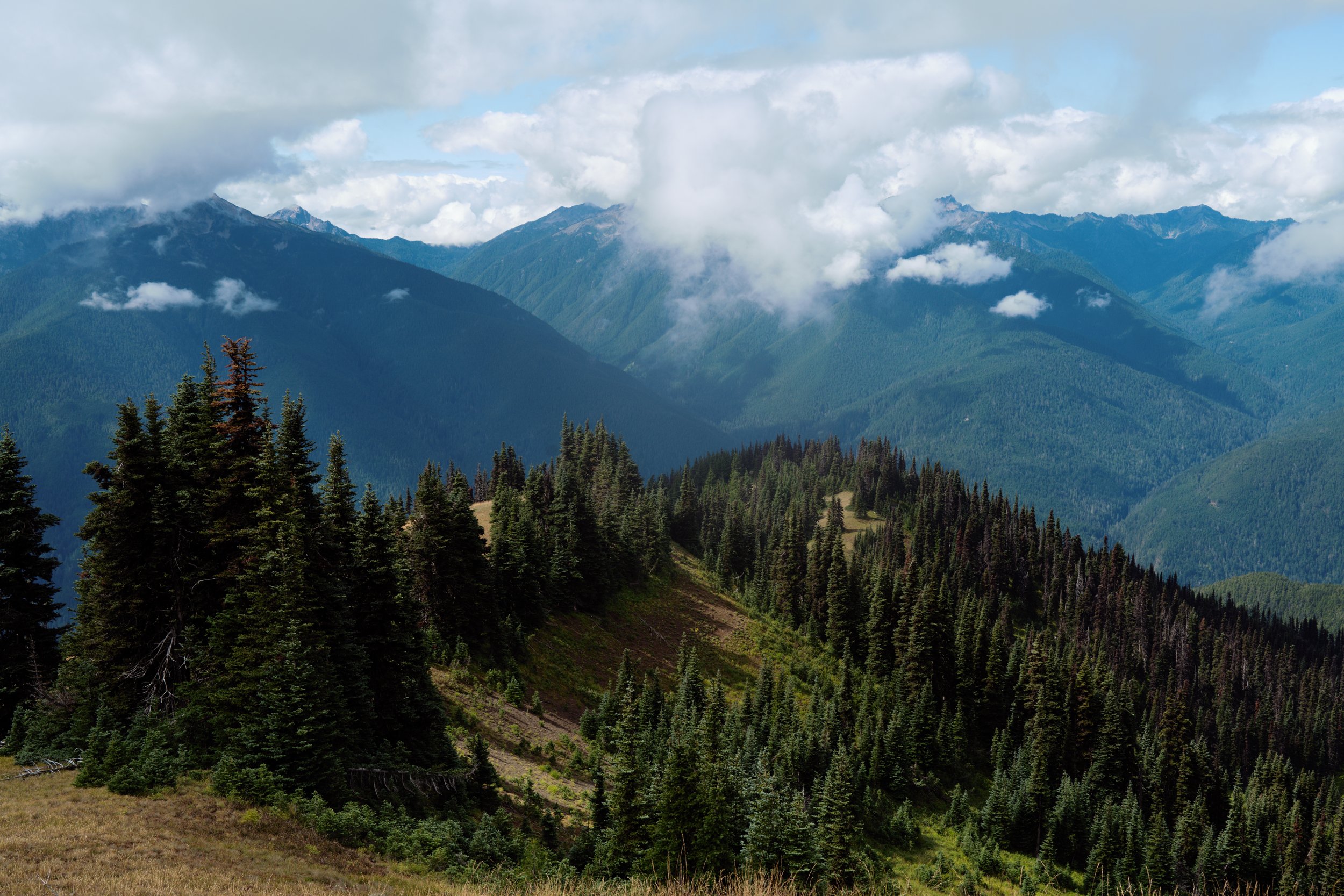 August, 2024, Port Angeles, WA