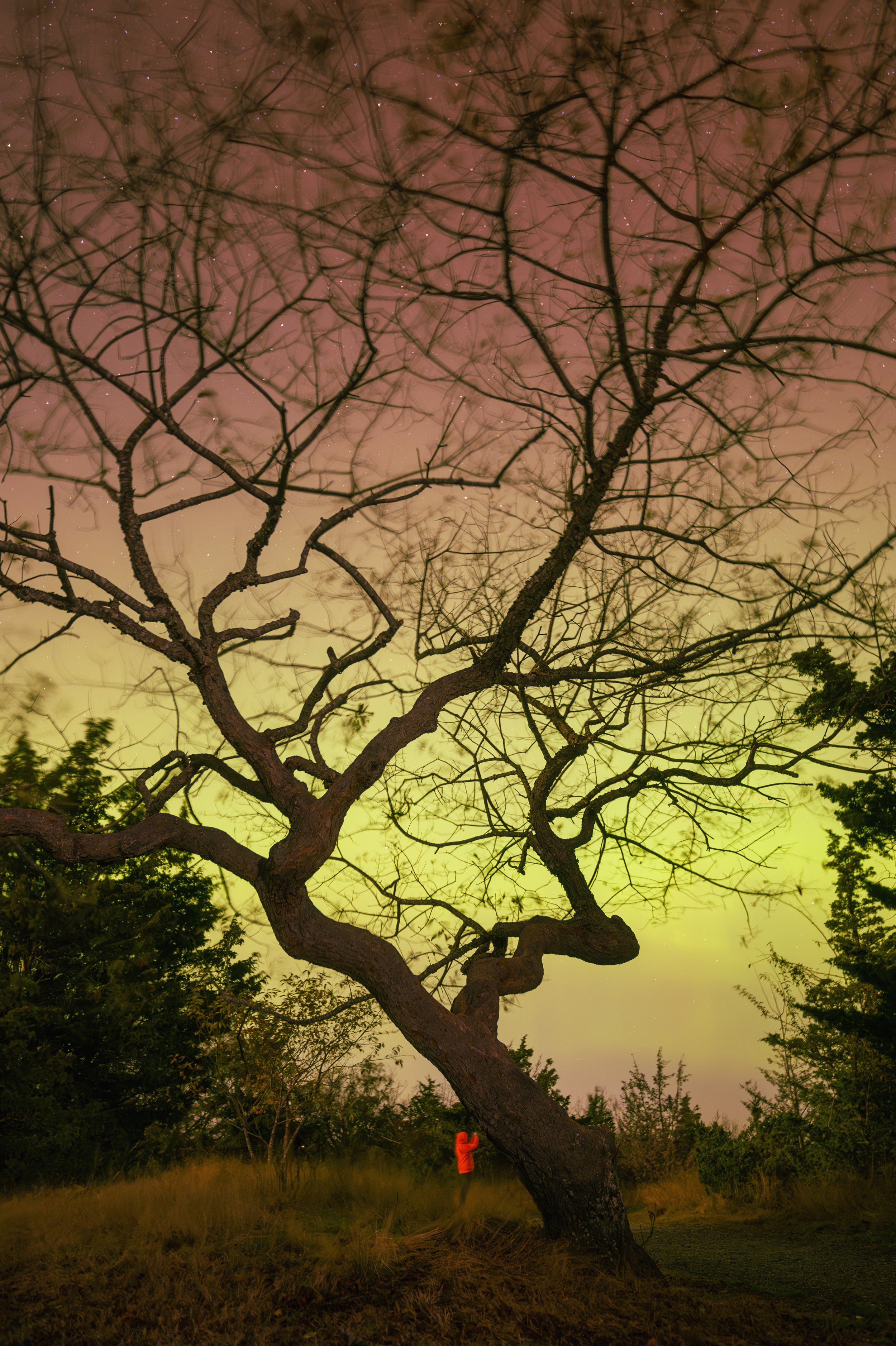 October, 2024, Rockport, MA