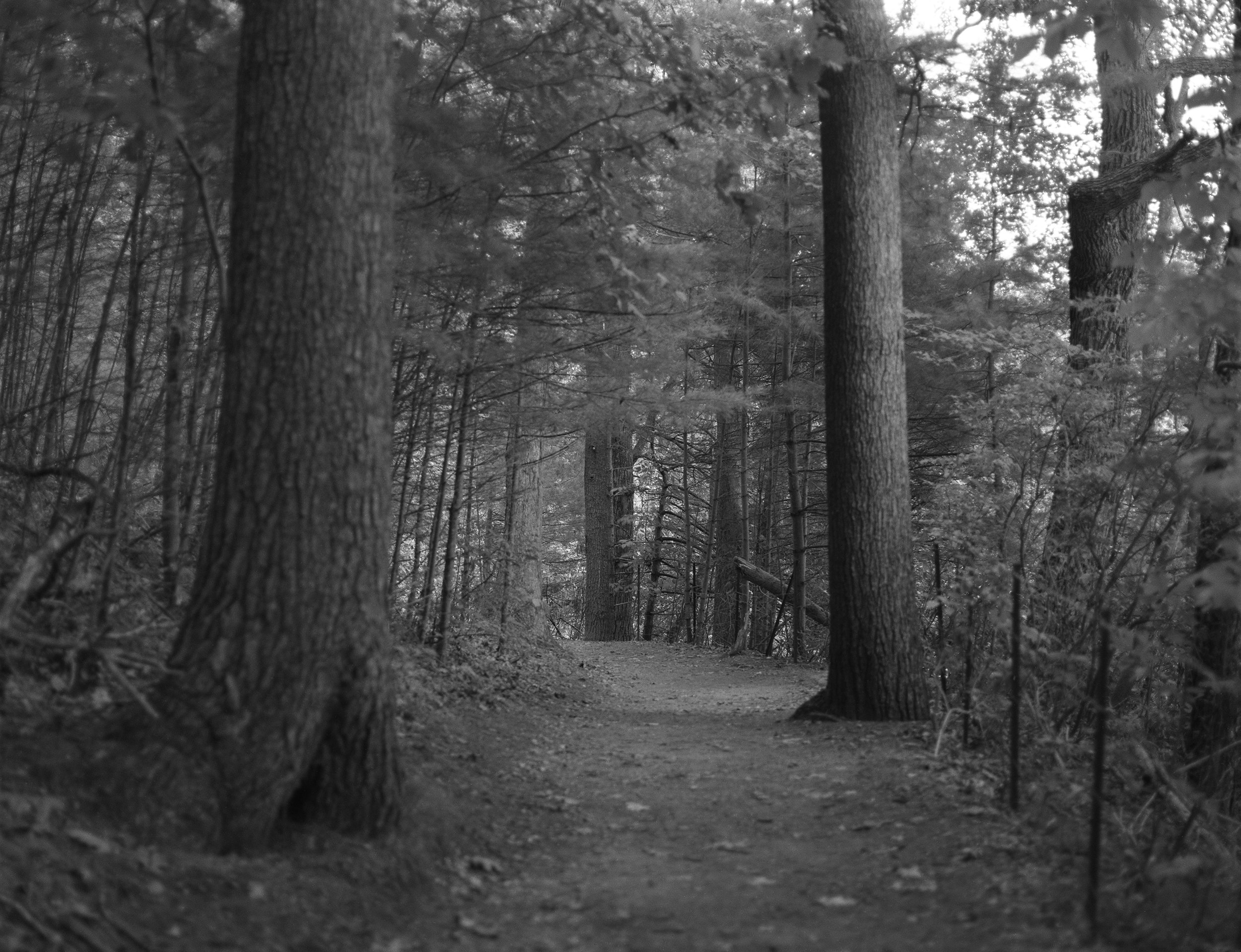 September, 2023, Concord, MA