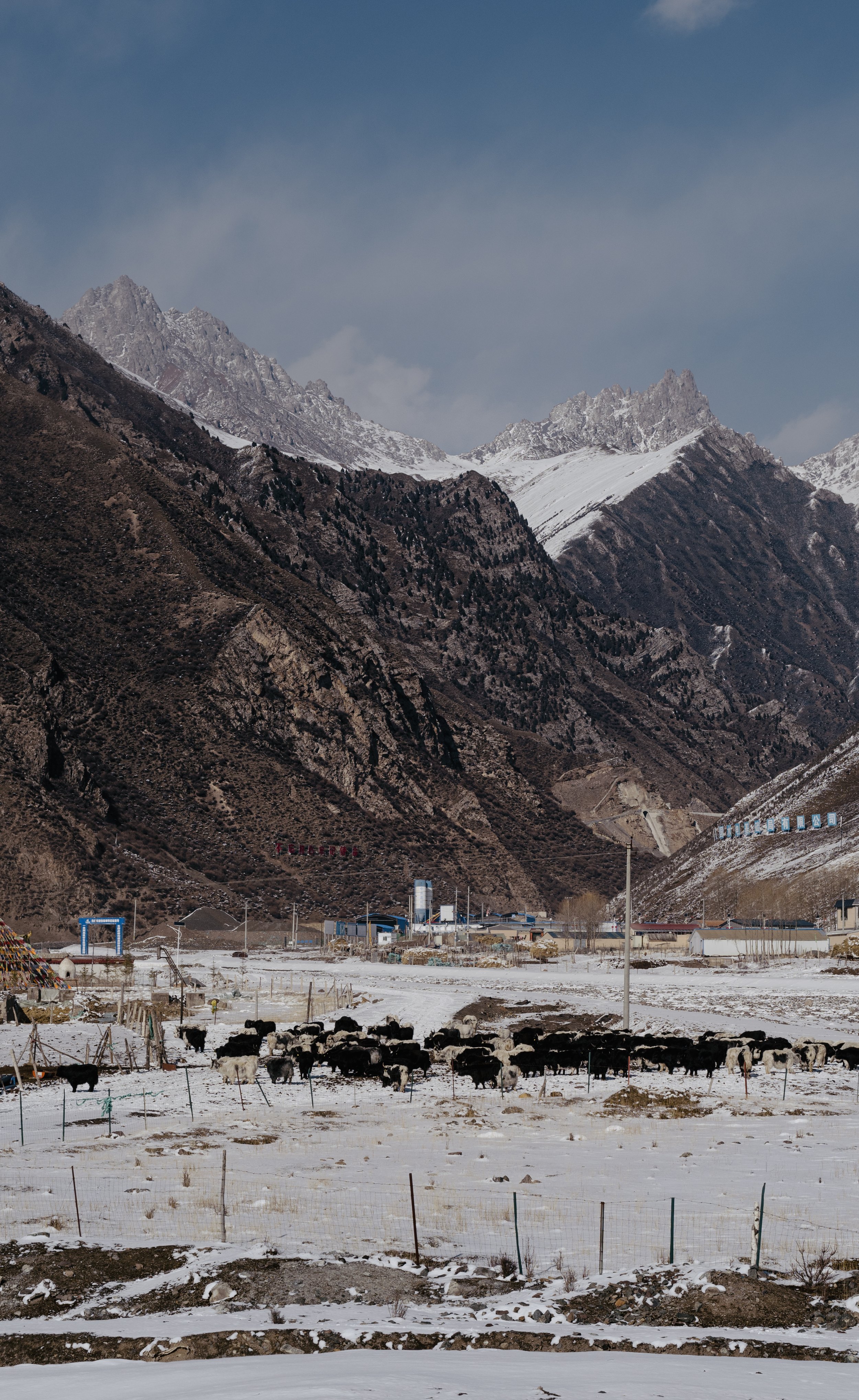 2025, February, Qinghai