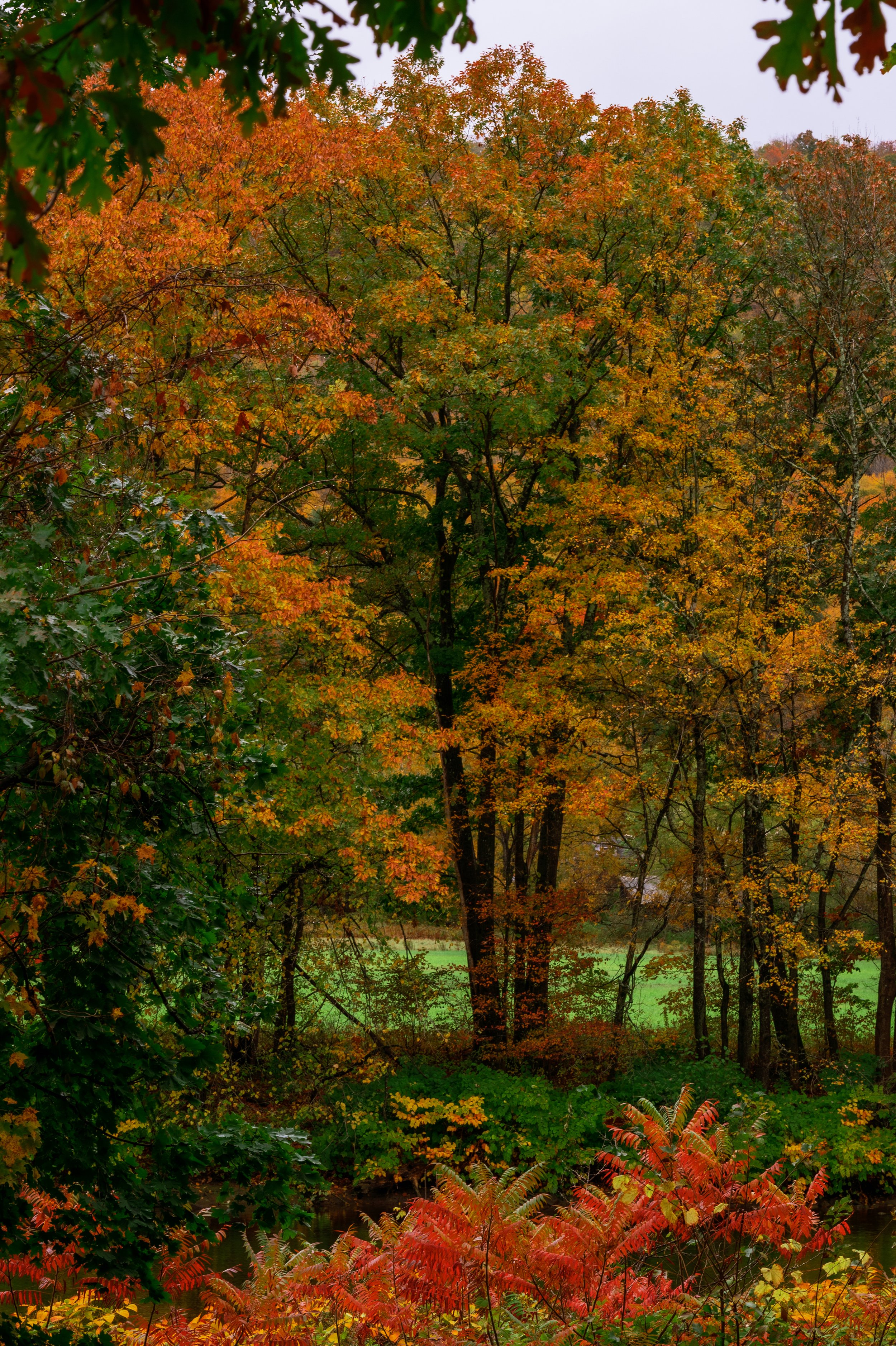 October, 2024, North Adams, MA