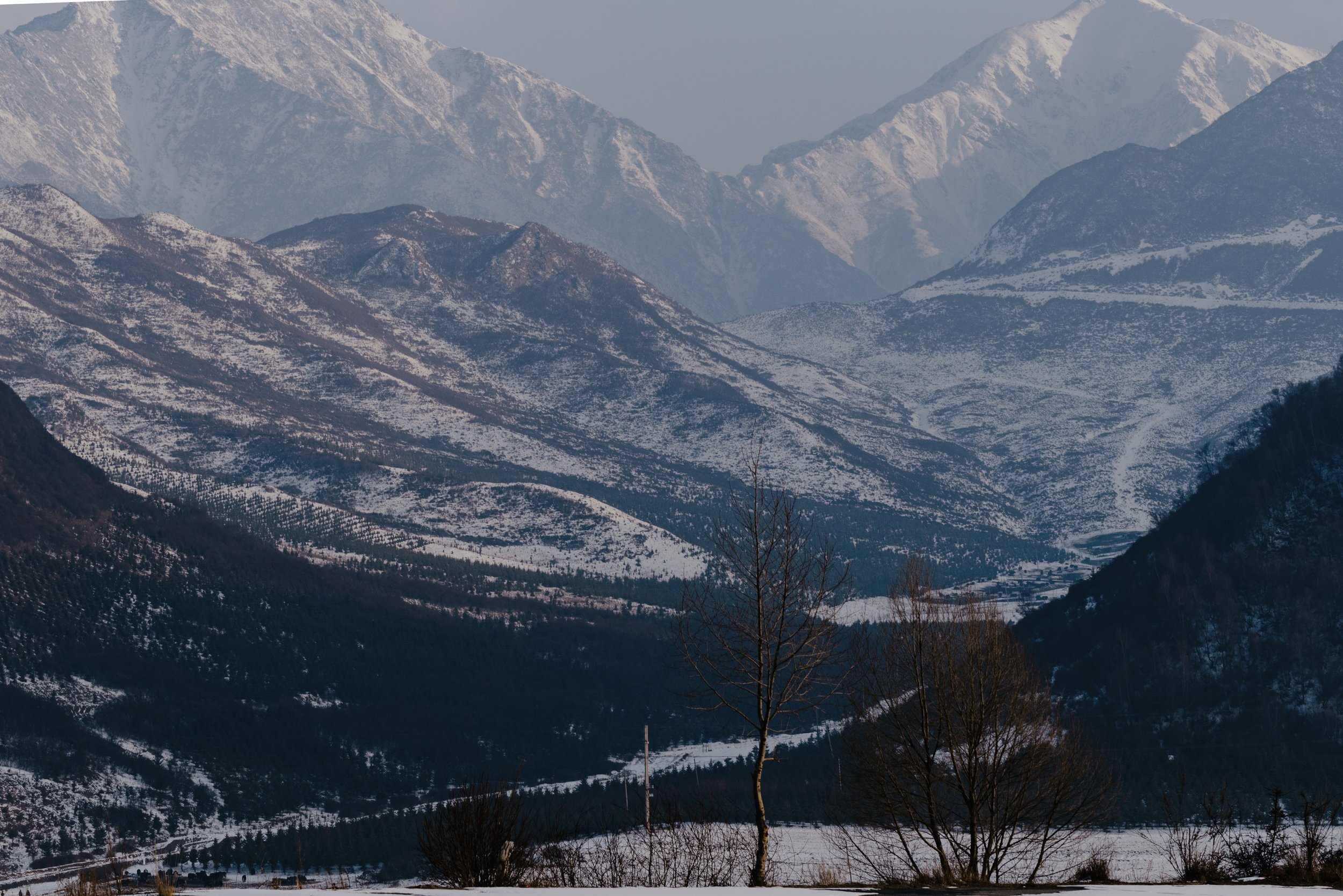 2025, February, Daban Mountain, Qinghai