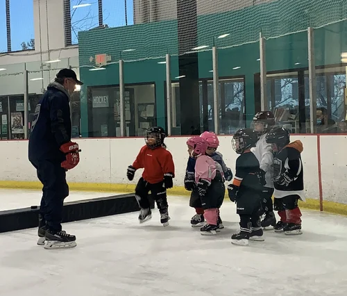 Aliso Viejo Ice Palace, business photo 6