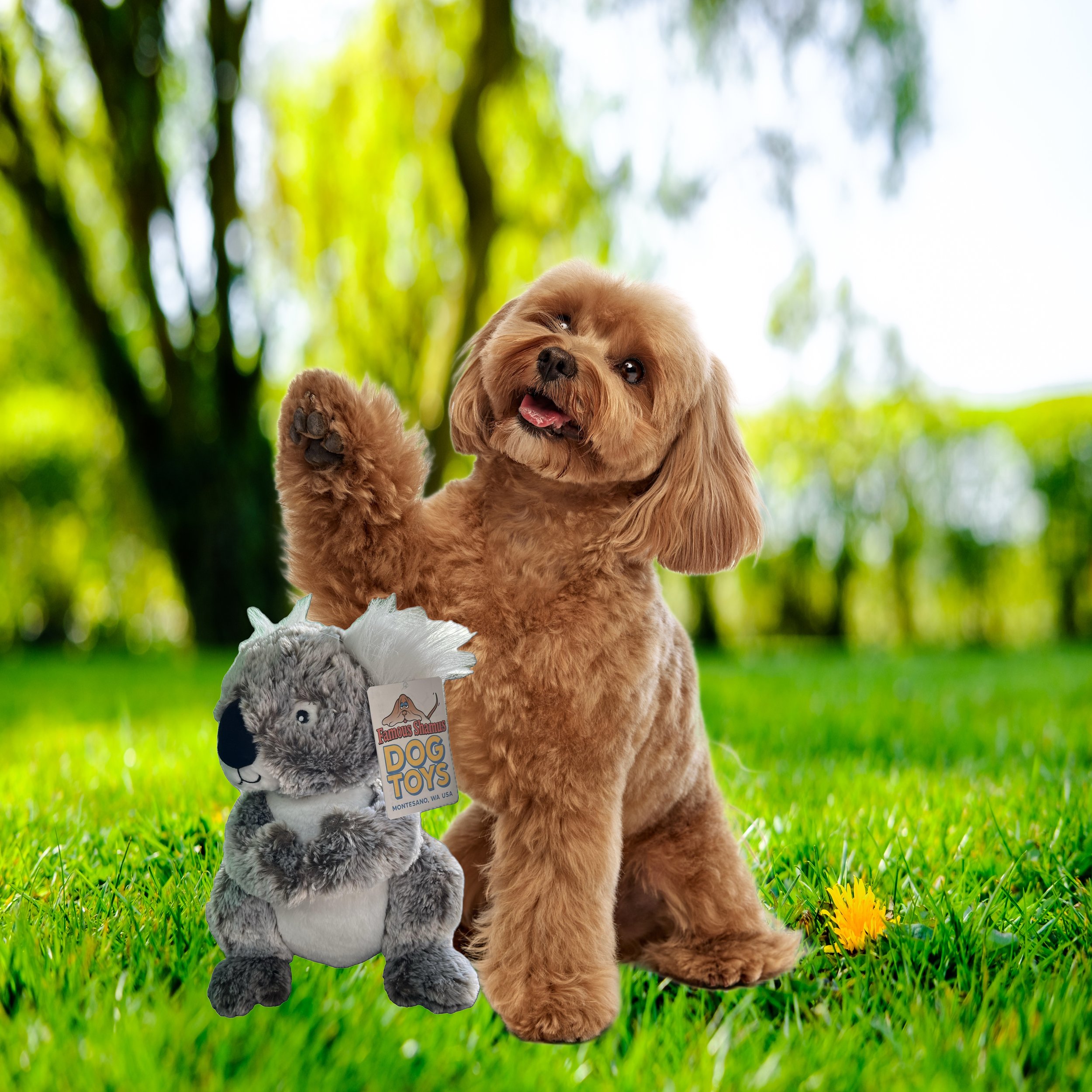 Koala toy.jpg