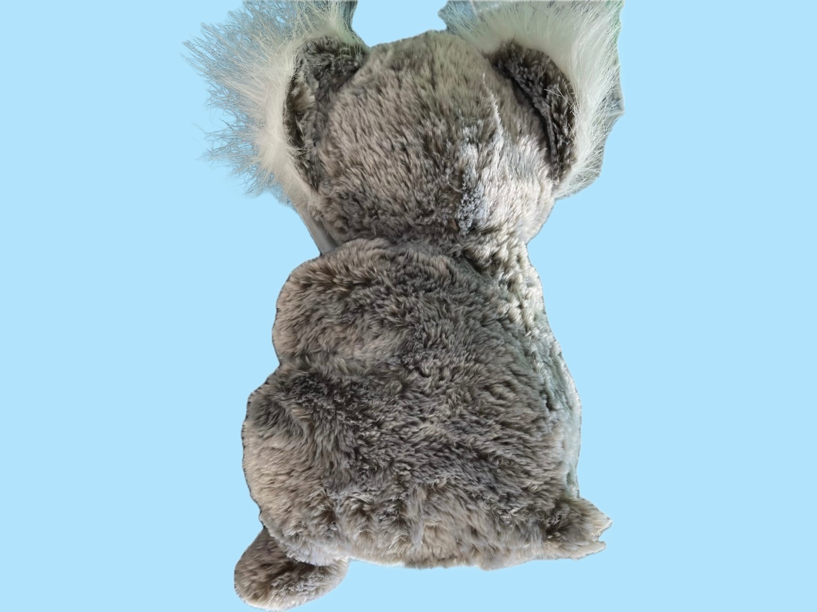 Koala1.jpg