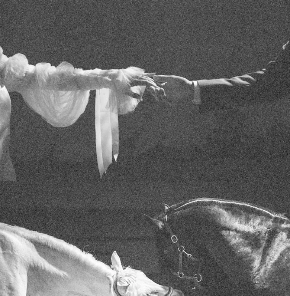 The Bridegroom’s Longing
