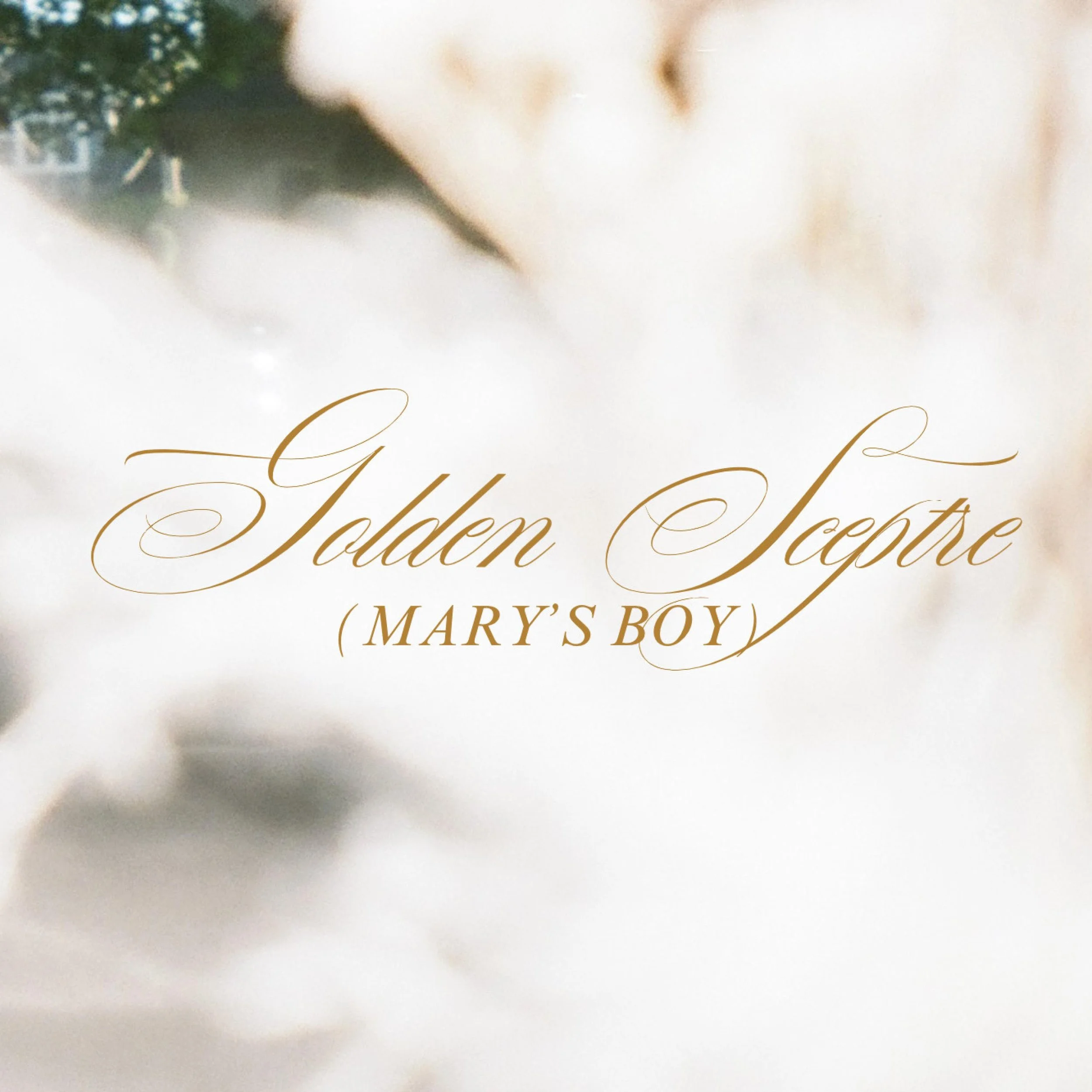 Golden Sceptre (Mary's Boy)