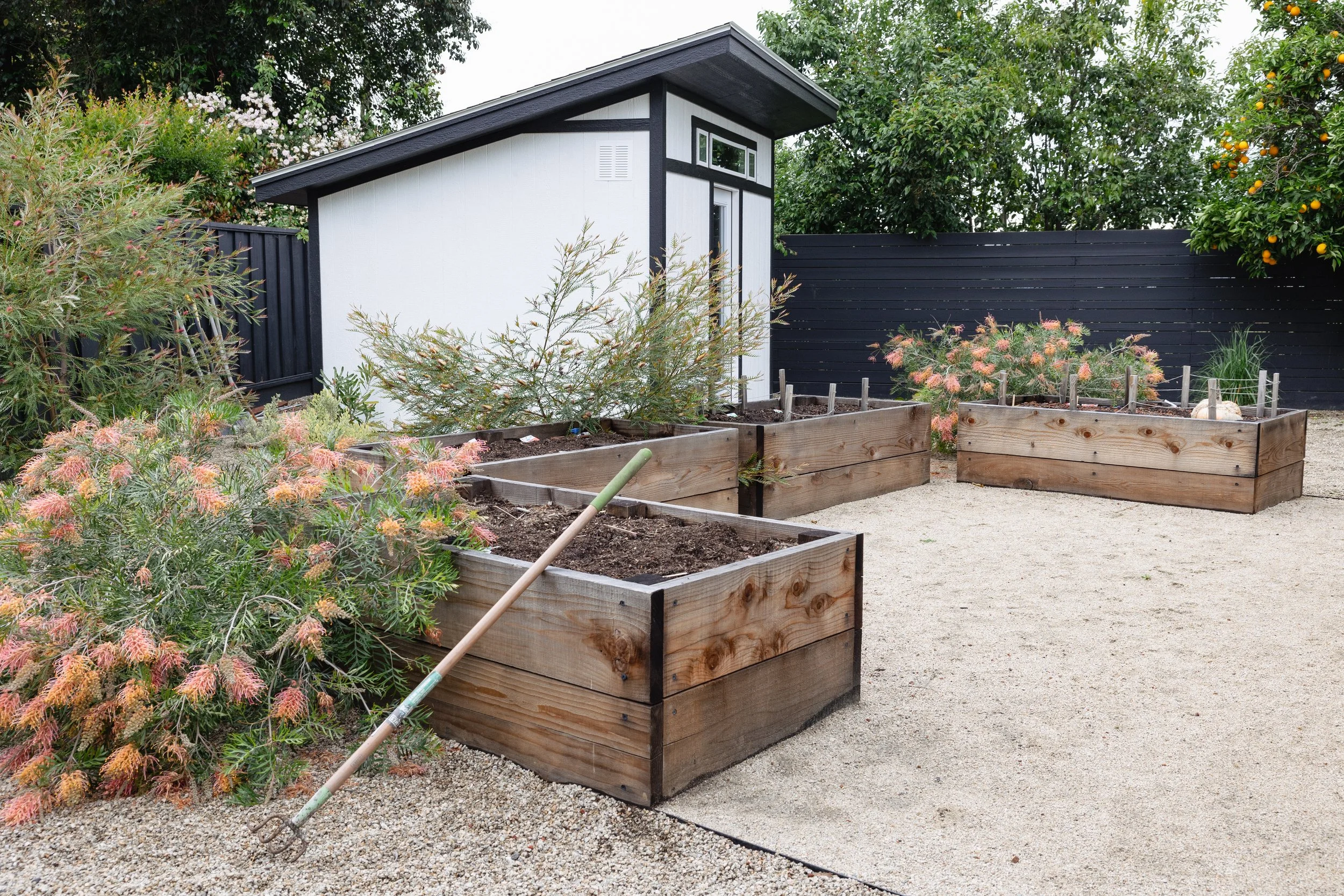 RuthBancroftGardenDesignConiferLane-6314.jpg