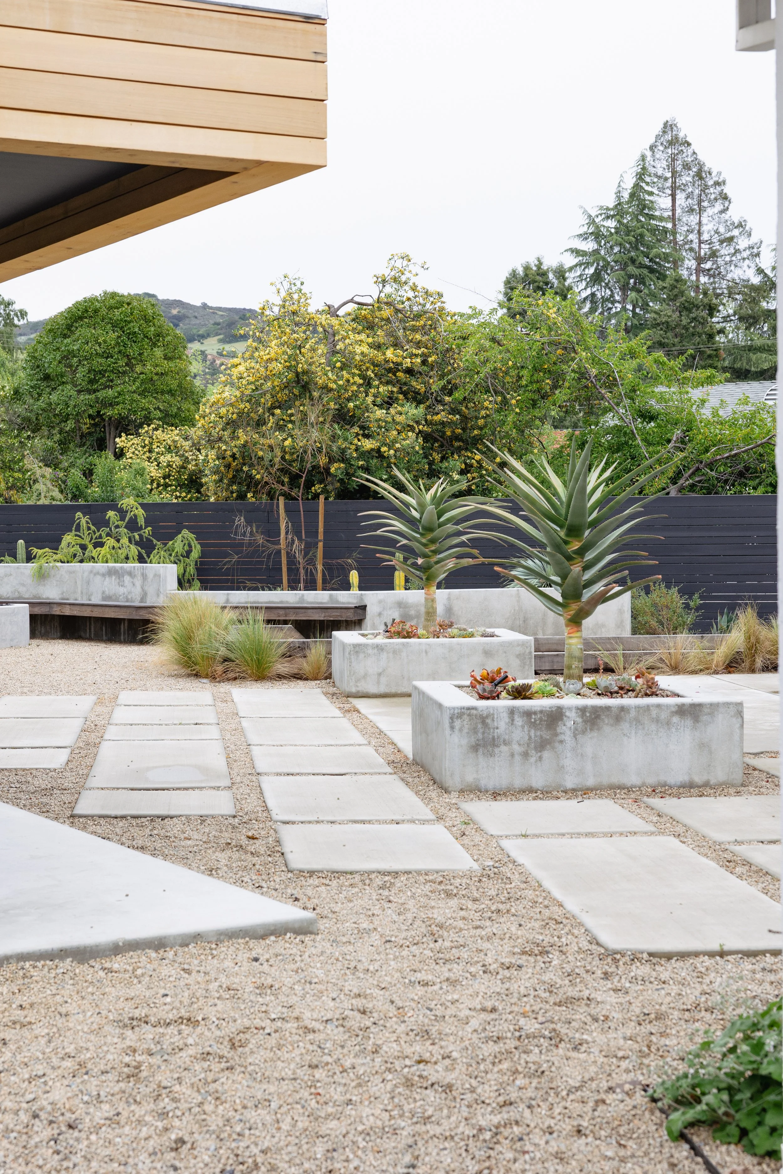 LDG Modern Garden Design.jpg