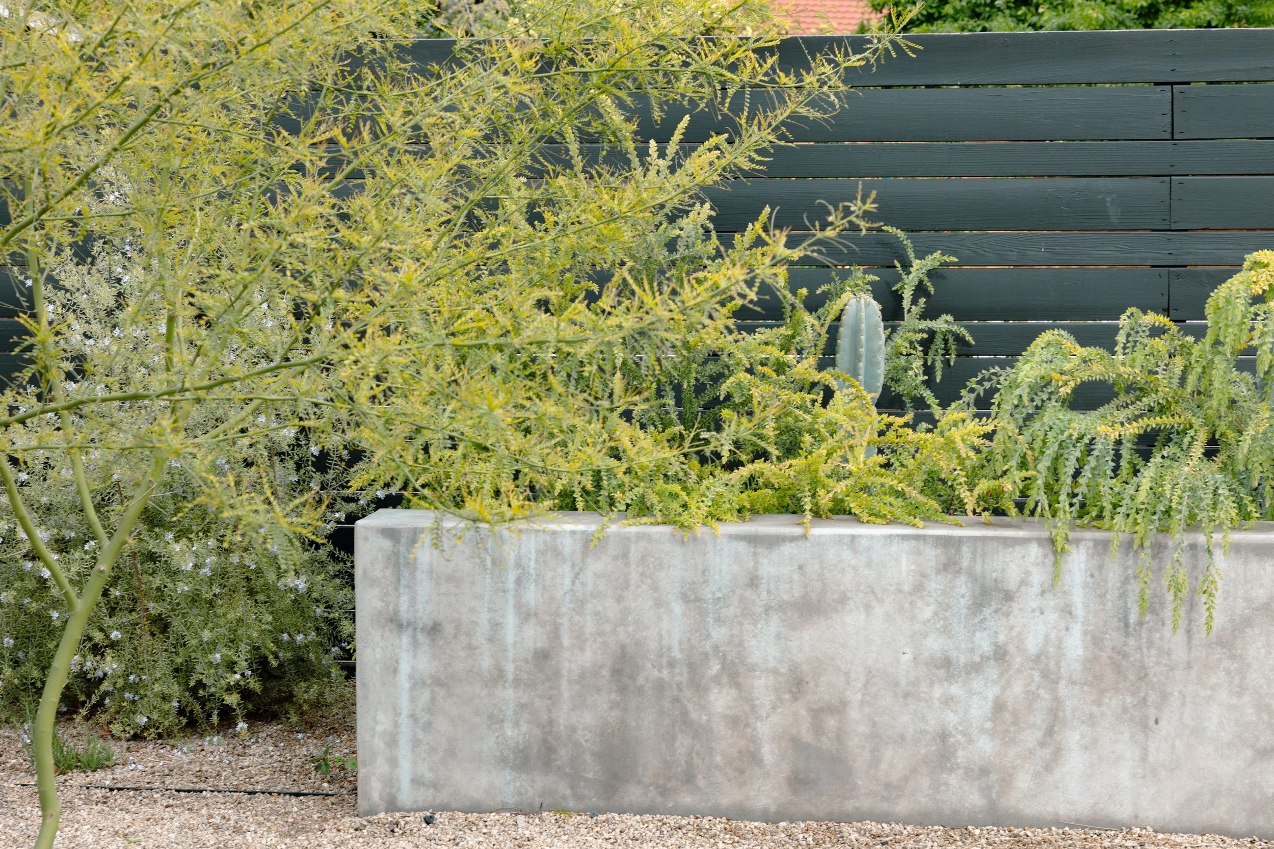 Bay Area Mediterranean Garden.jpg