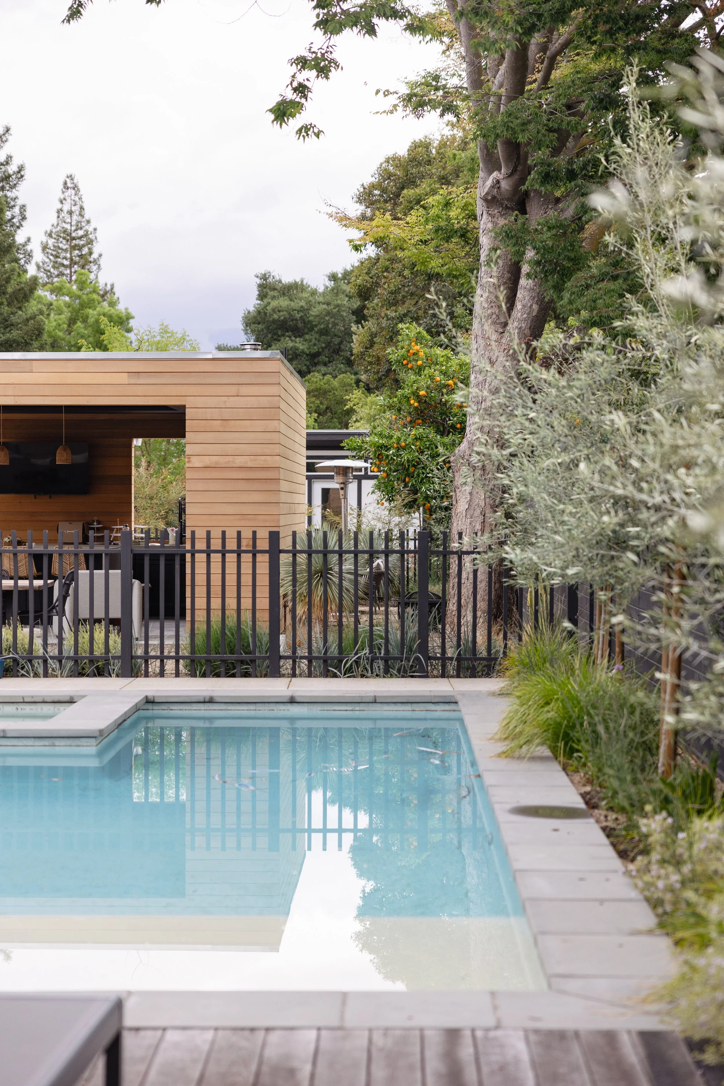 RuthBancroftGardenDesignConiferLane-6374.jpg