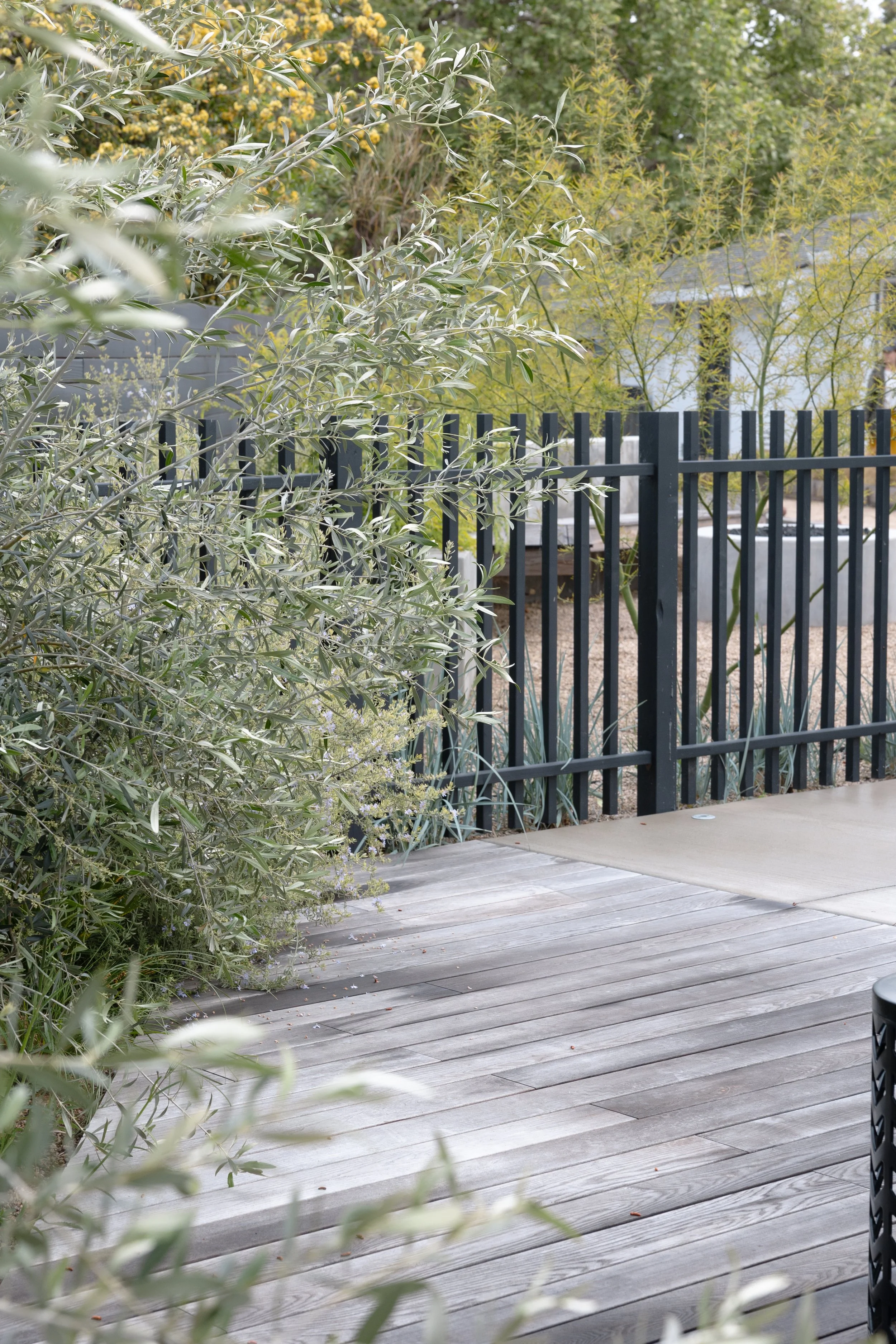 RuthBancroftGardenDesignConiferLane-6145.jpg