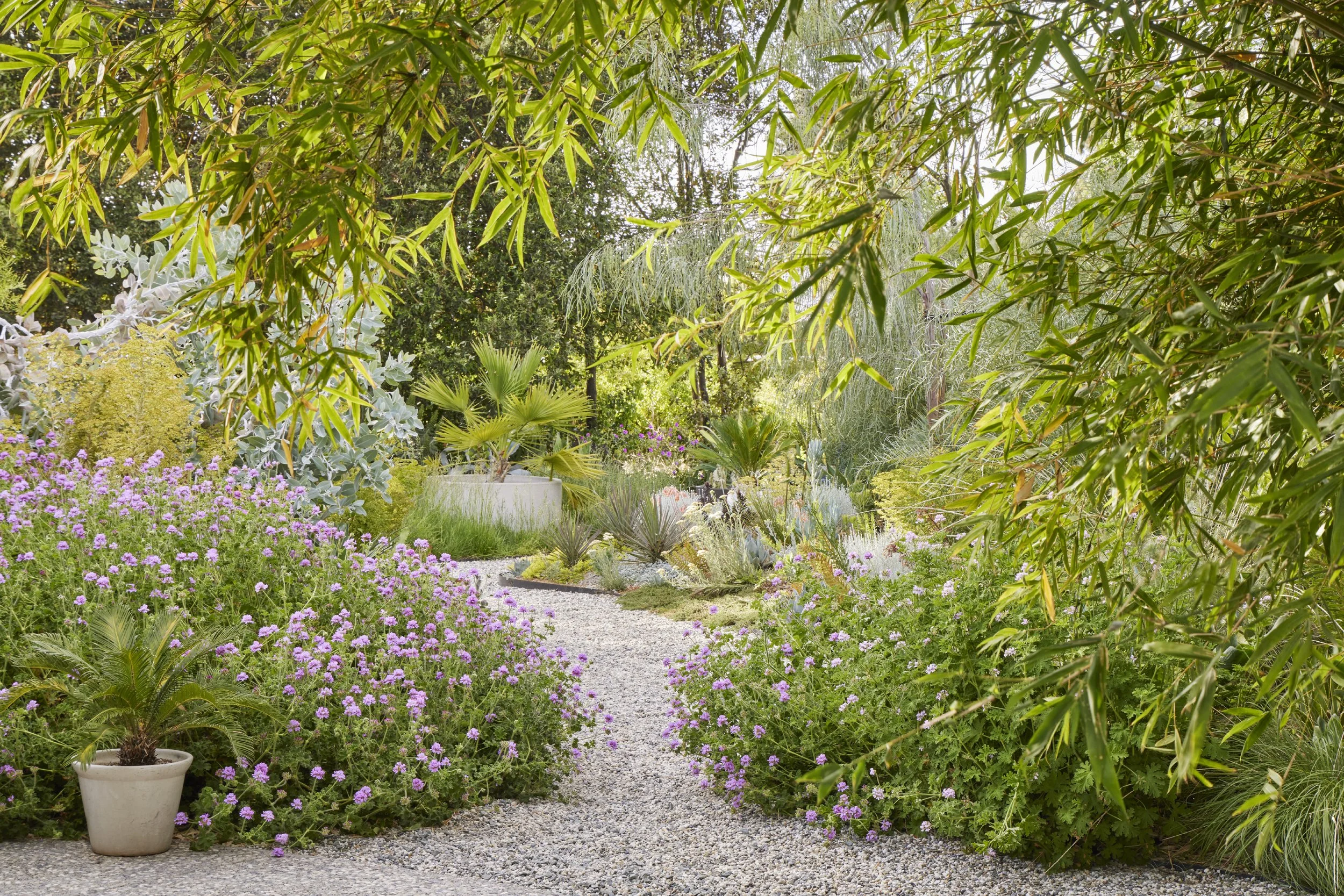 Las Palmas del Norte