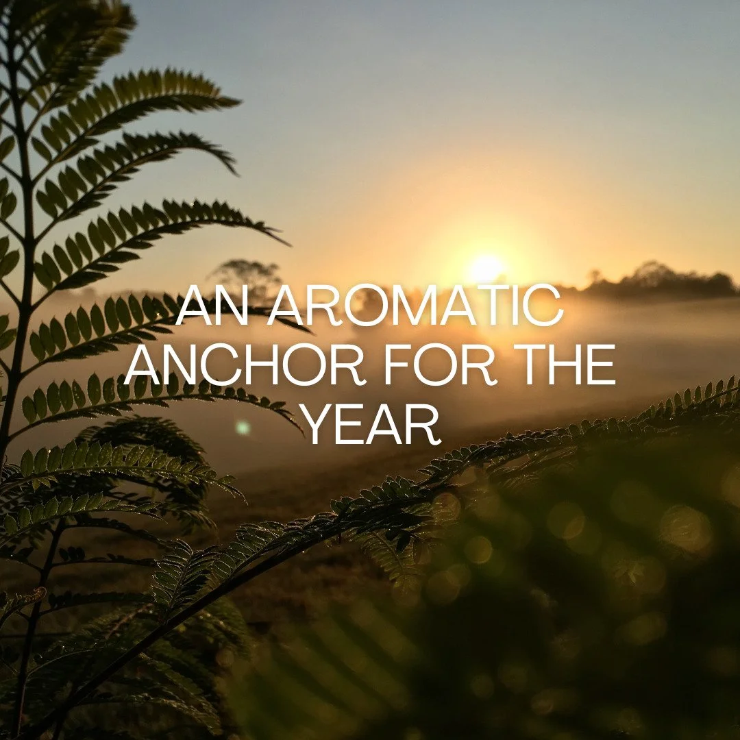 I love hearing how these blends find their way into homes and daily rhythms &mdash; whether that&rsquo;s mornings, evenings, or moments of pause.

Scent has a beautiful way of meeting us exactly where we are.