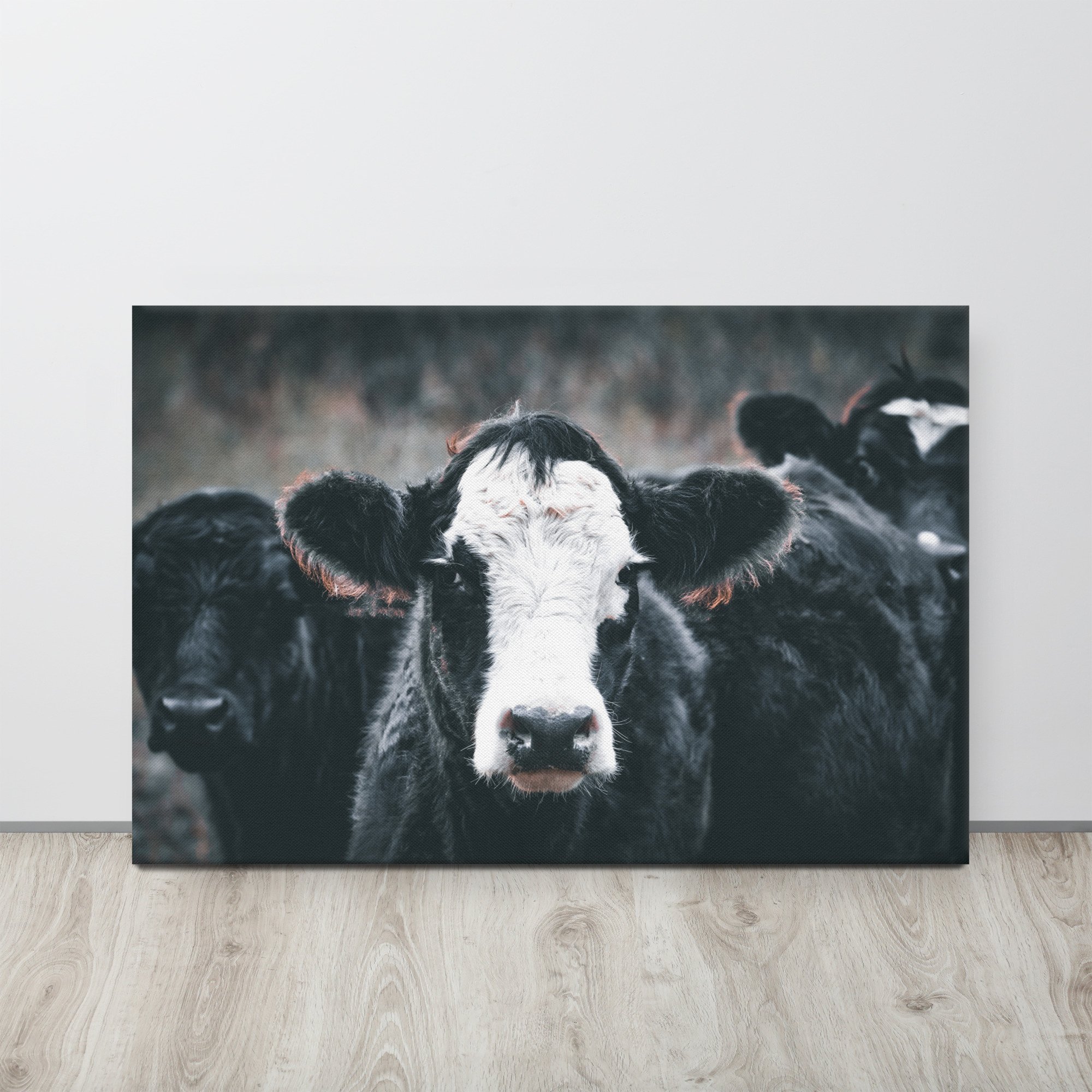 thin-canvas-(in)-24x36-front-6721c6f6113d0.jpg