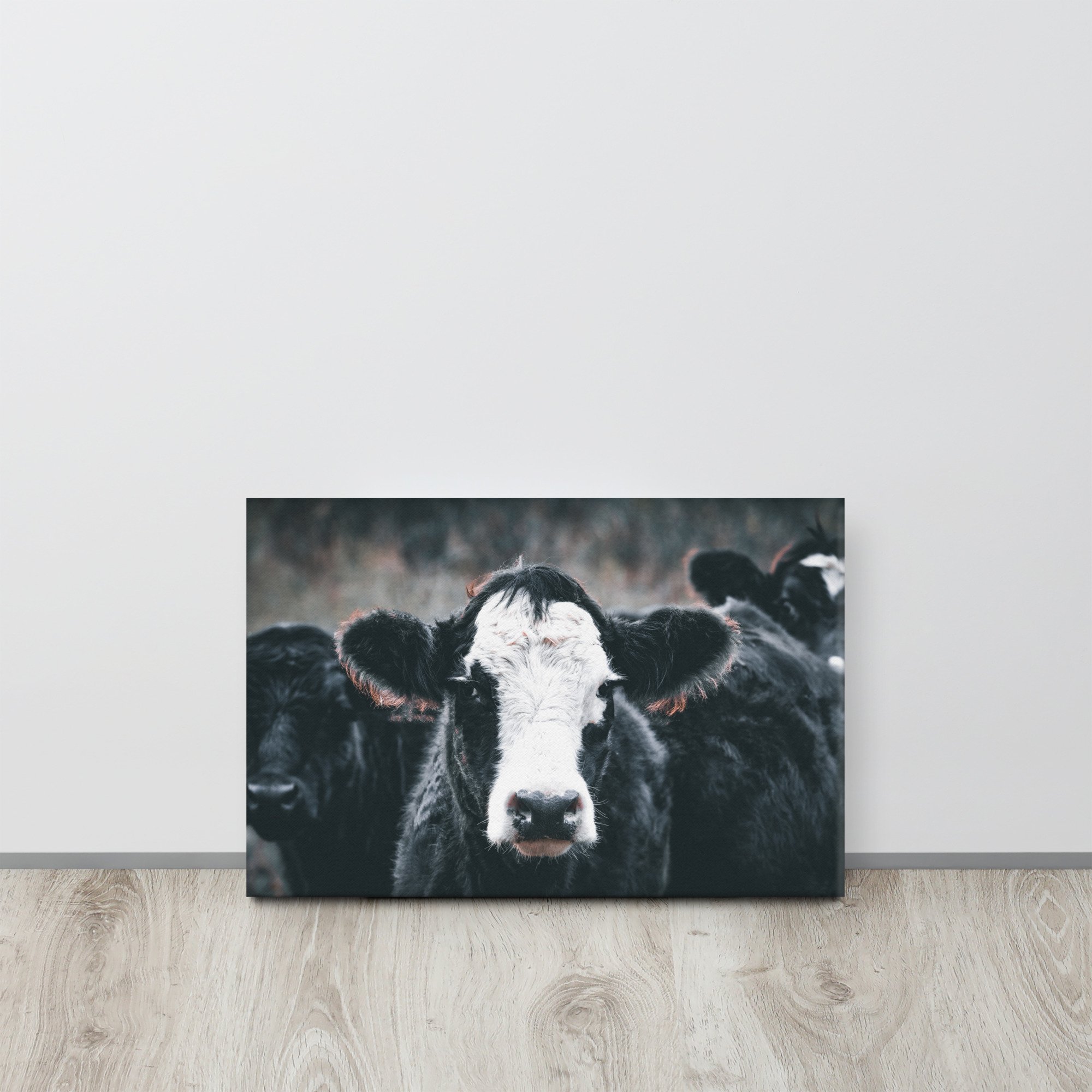 thin-canvas-(in)-12x18-front-6721c6f6114e5.jpg