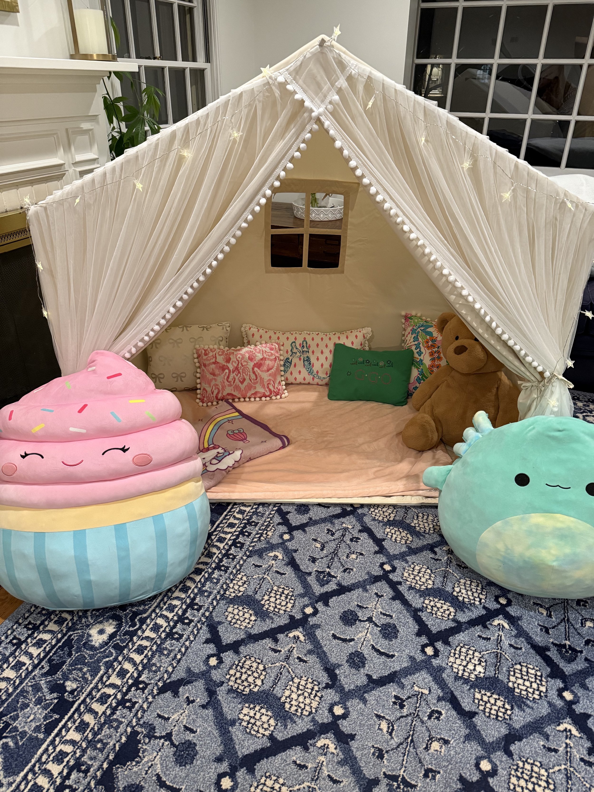 Parent Trap Birthday Party Movie Setup 