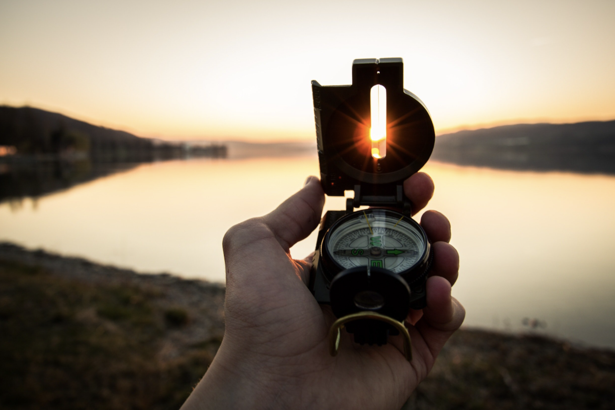 Navigating Adversity: The Art of Resilient Leadership
