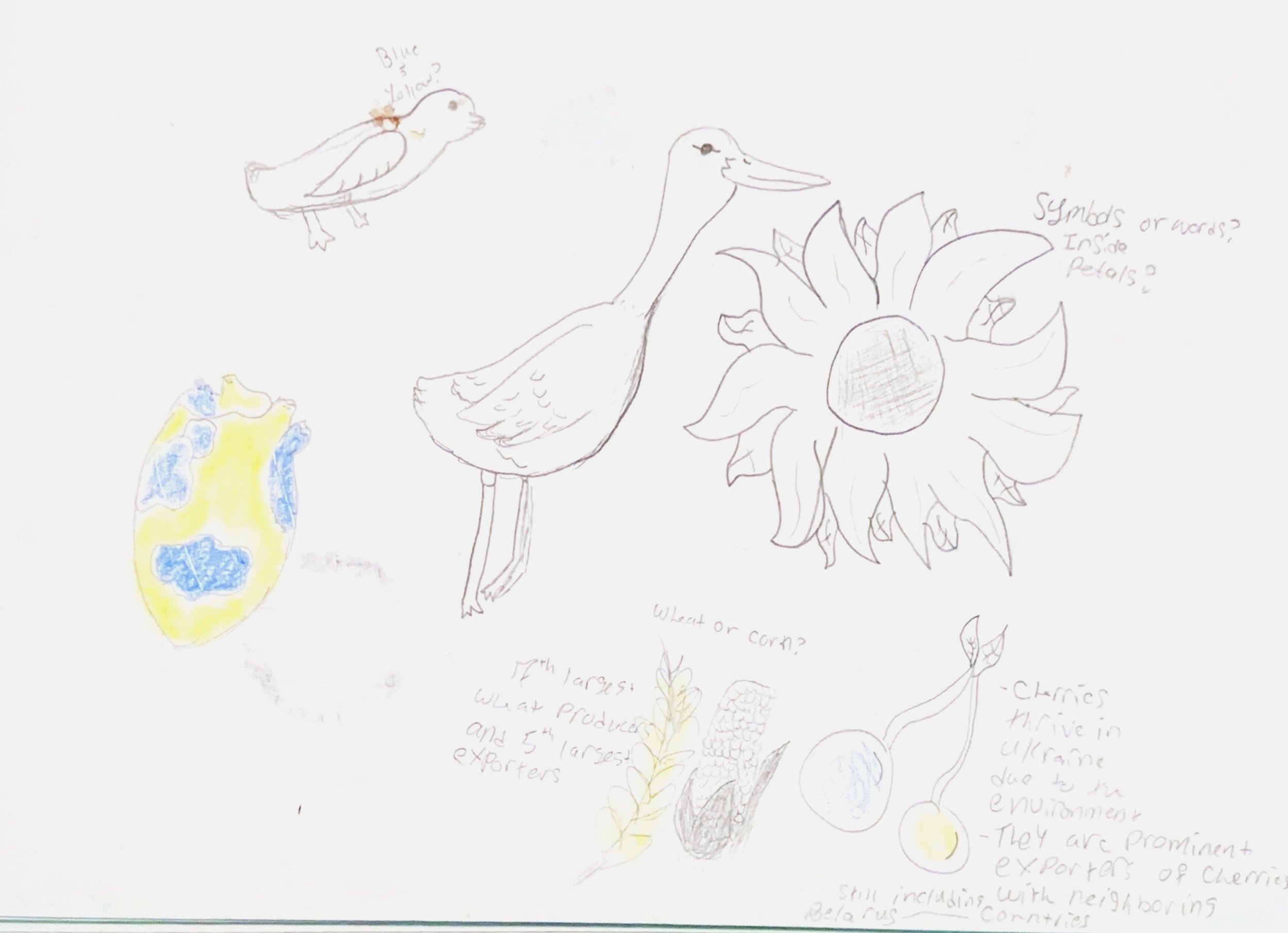 I looked into important symbols, creatures, plants, etc. Ukraine has and those helped influence the design for the board, wheels, and the jersey.