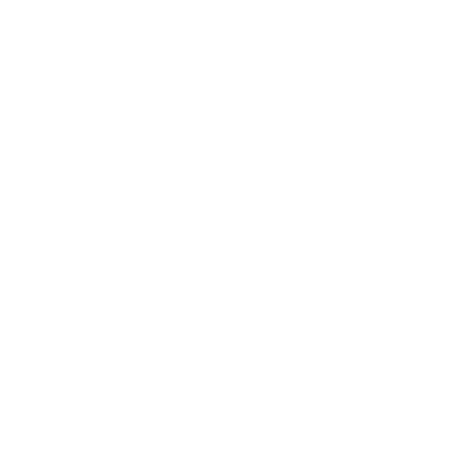 Project Skyline Hurricane Helene Relief Disaster Recovery Project Skyline Hurricane Helene Relief Disaster Recovery