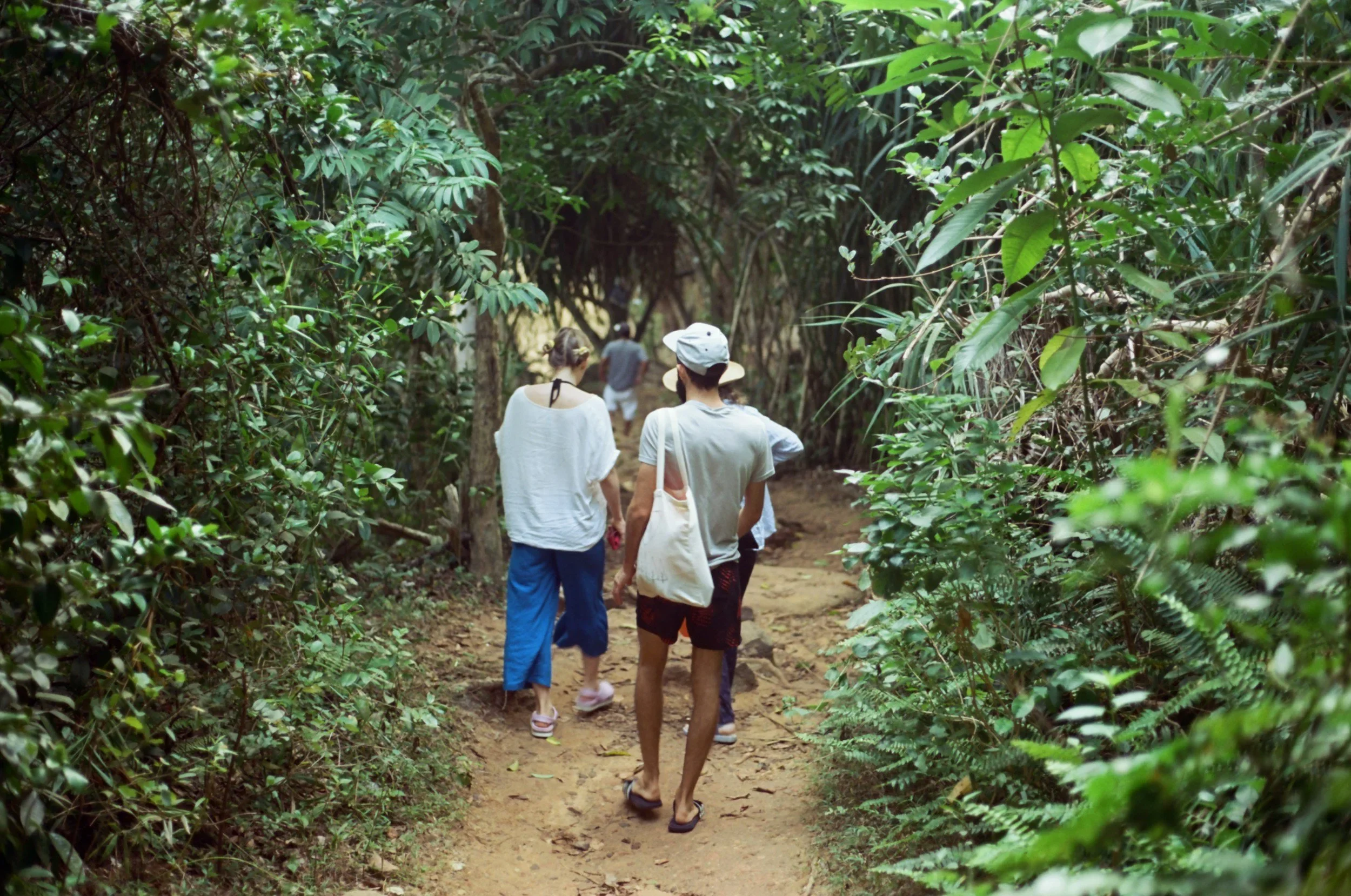 Regenerative Journeys: