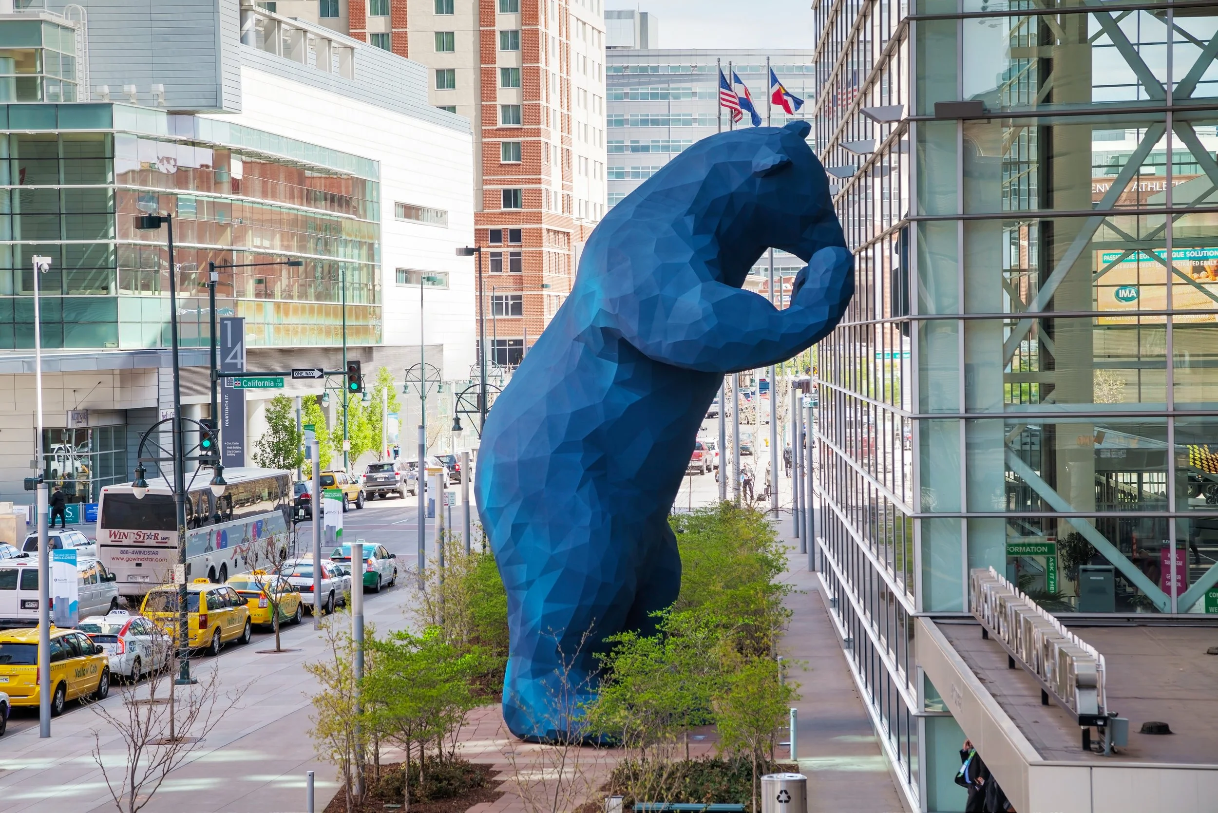 Denver blue bear iStock-506132415.jpg