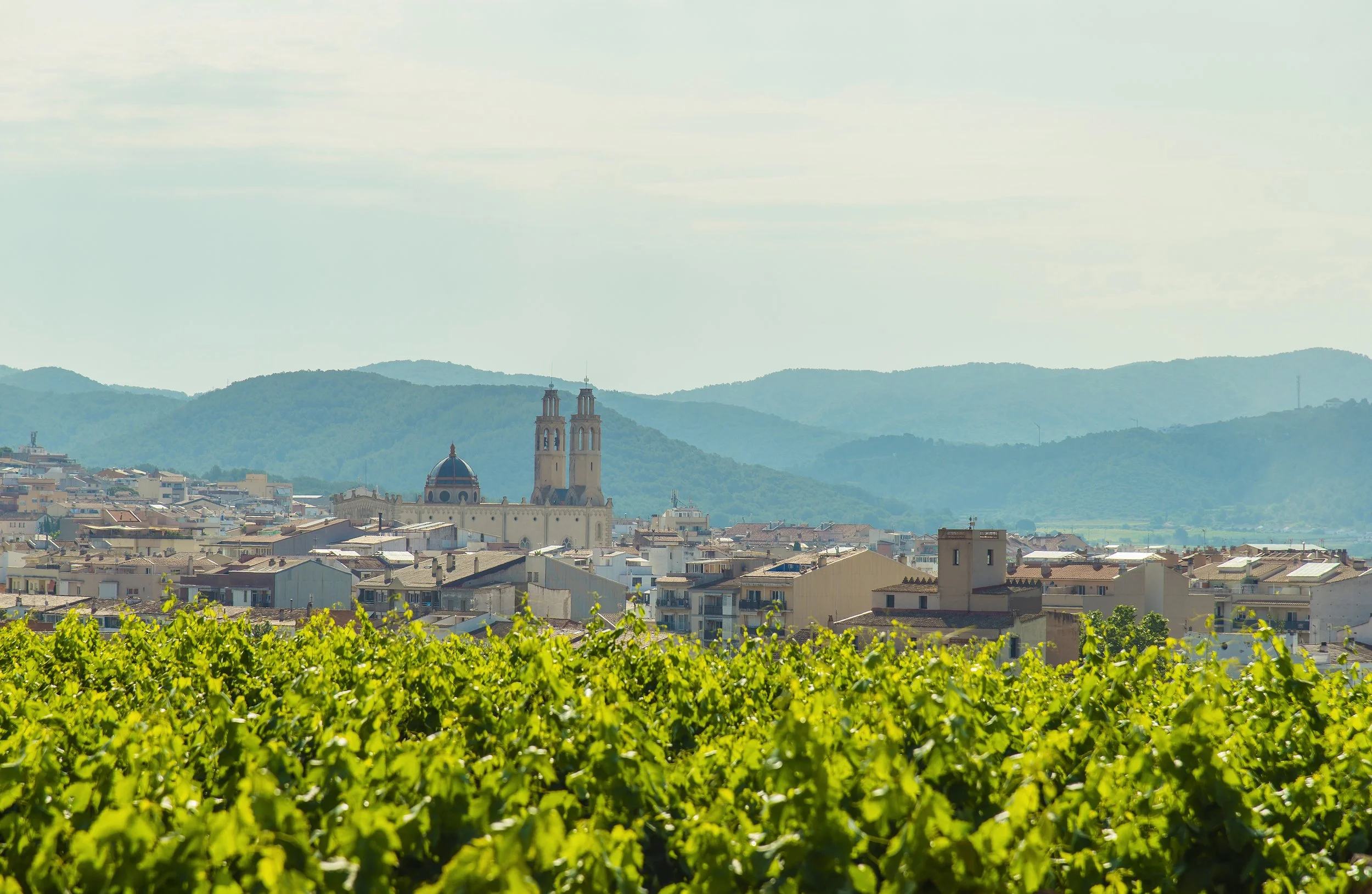 Barcelona iStock-1262302580.jpg