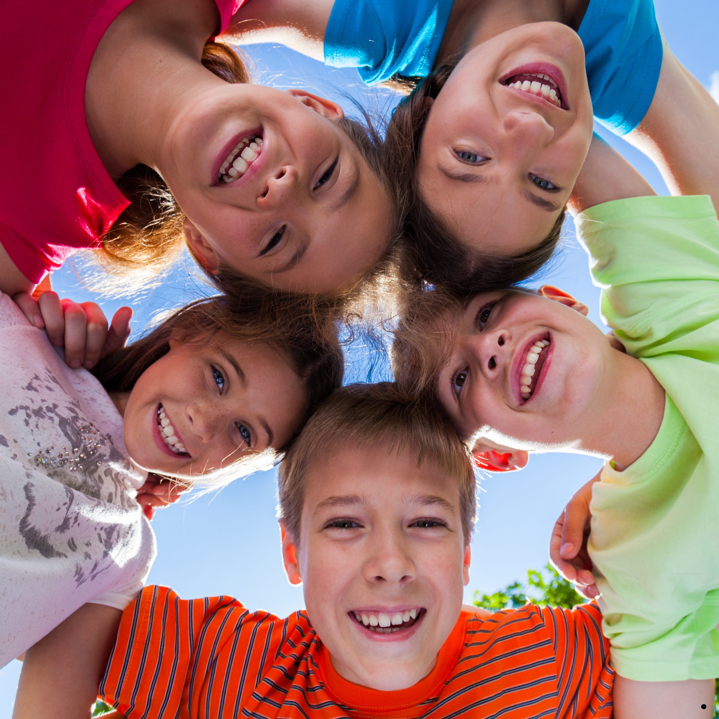 SPEECH PATHOLOGY SUPPORT FOR EXECUTIVE FUNCTION SKILLS