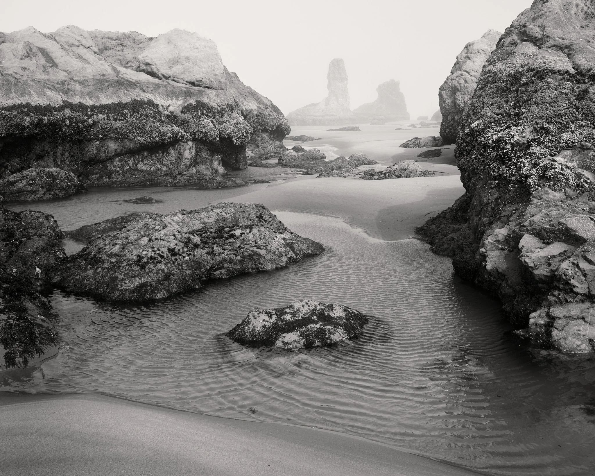 Tides of the Mind -17-web.jpg