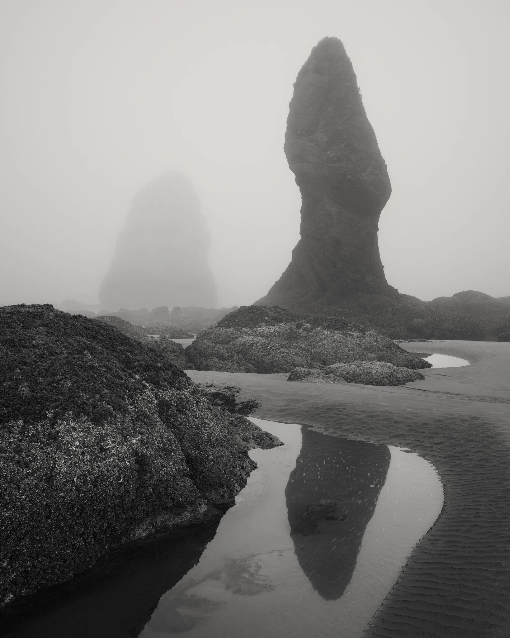 Ghosts of the Tide web.jpg