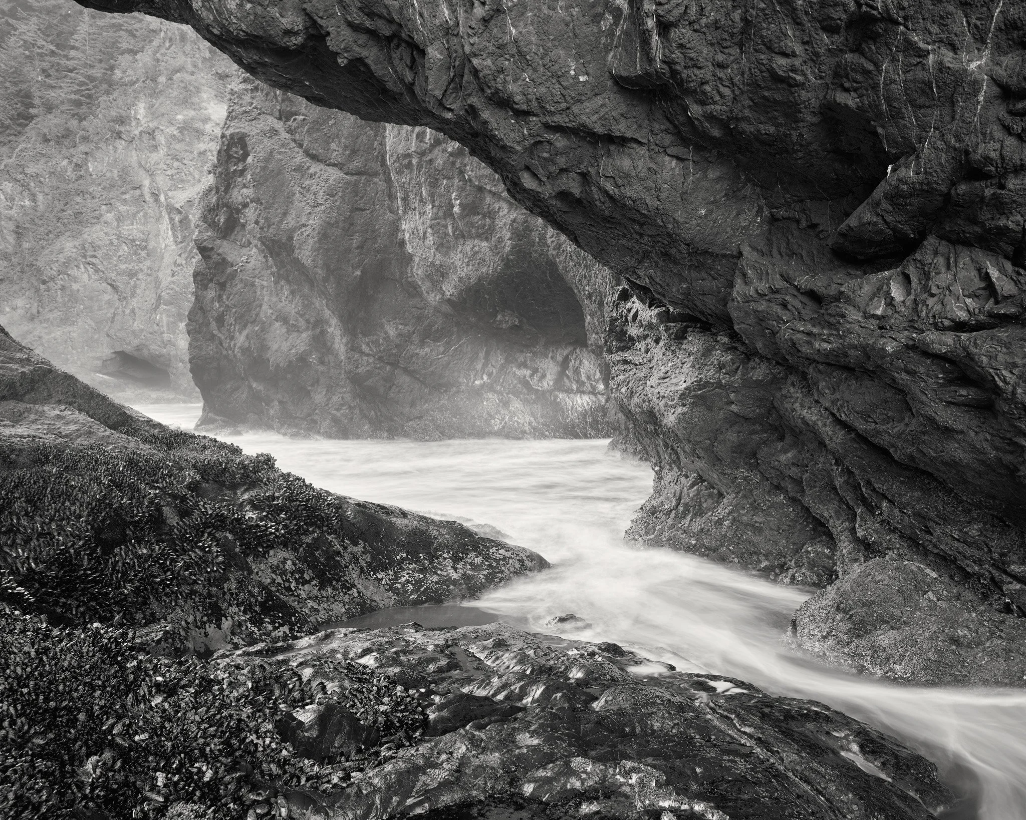 Tides of the Mind -19-web.jpg