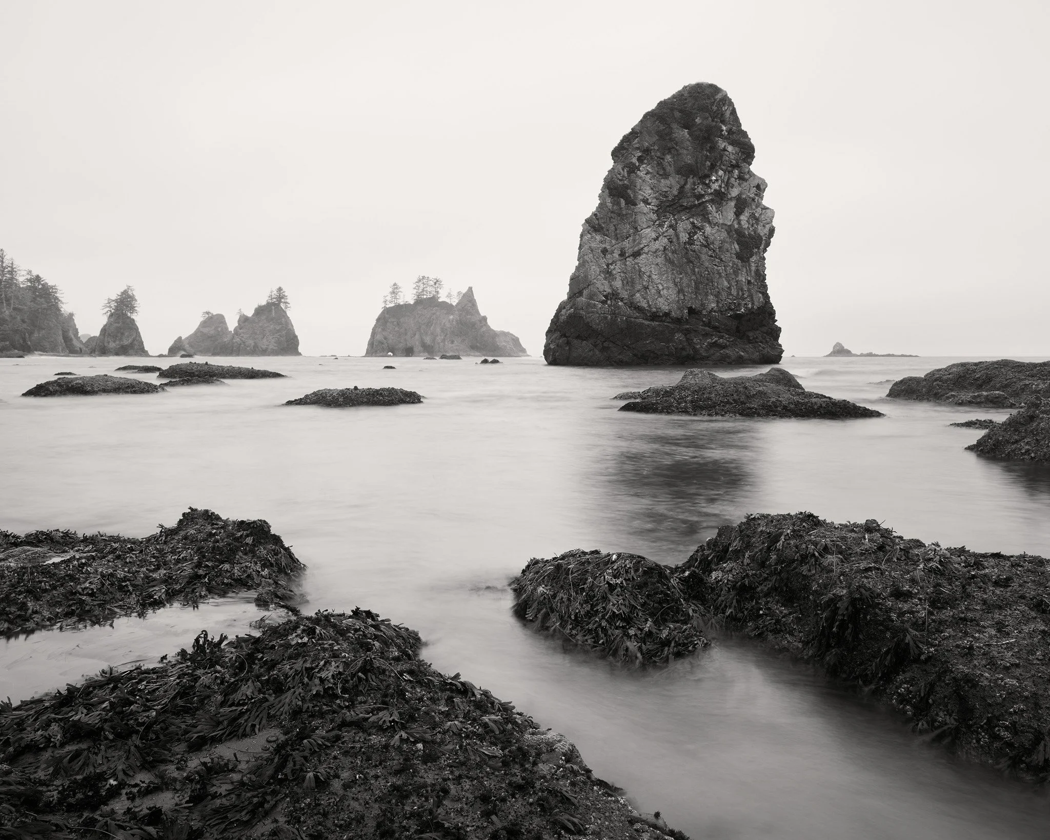 The Day the Ocean Won web.jpg