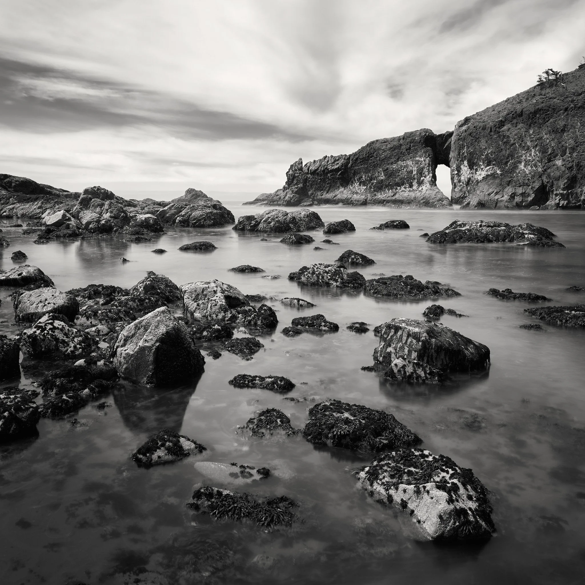 After the Fall Web.jpg