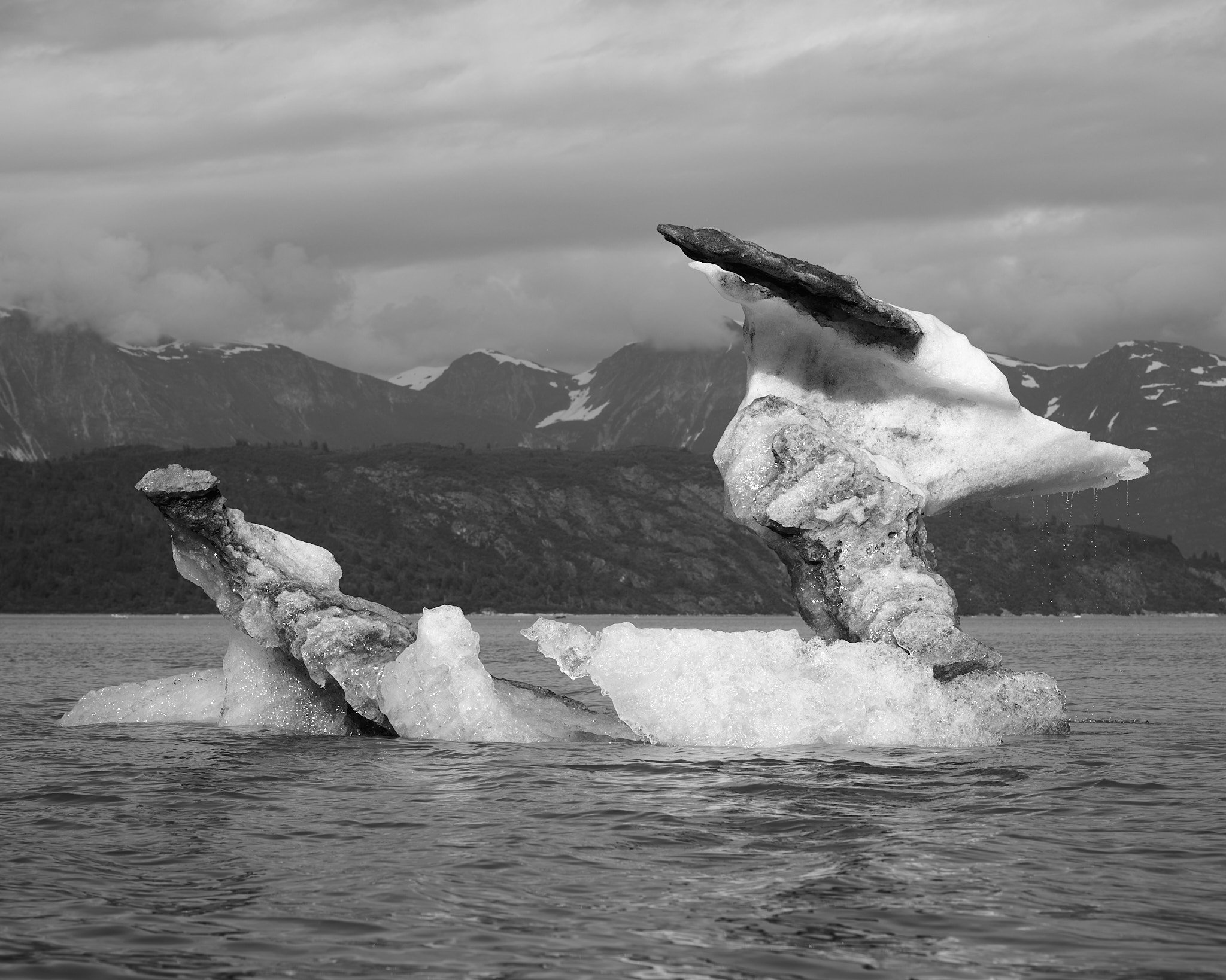 DSC_5204web 1.jpg