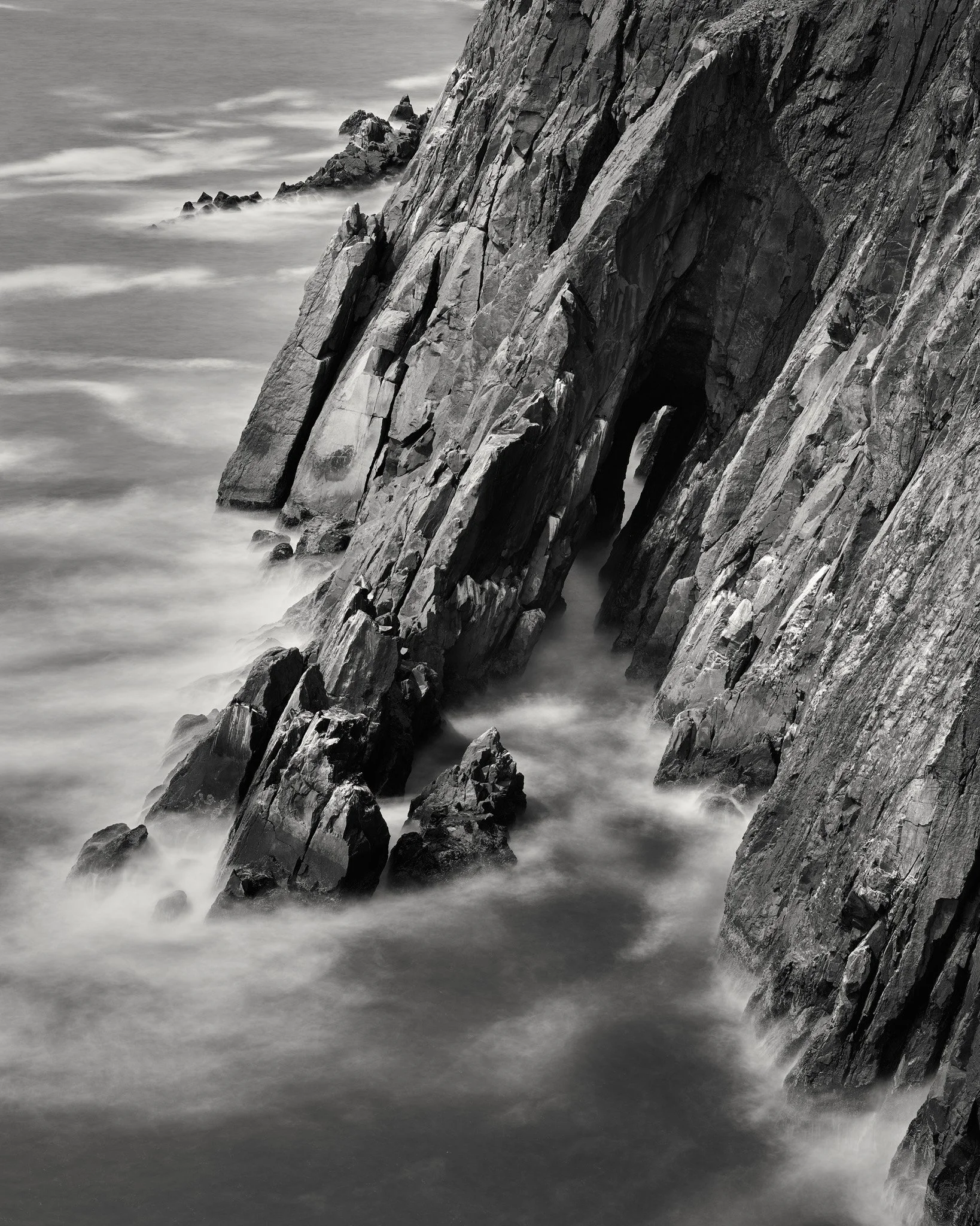 Where Harpies Dare web.jpg