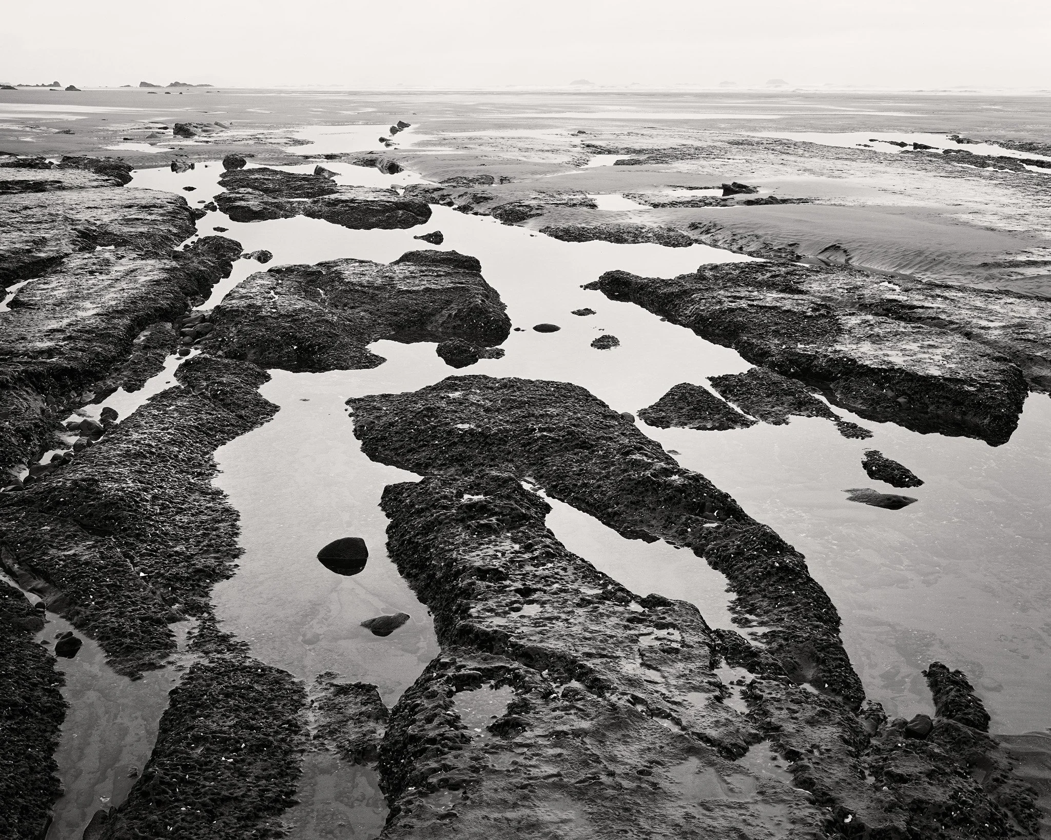 The Beach Remembers web.jpg