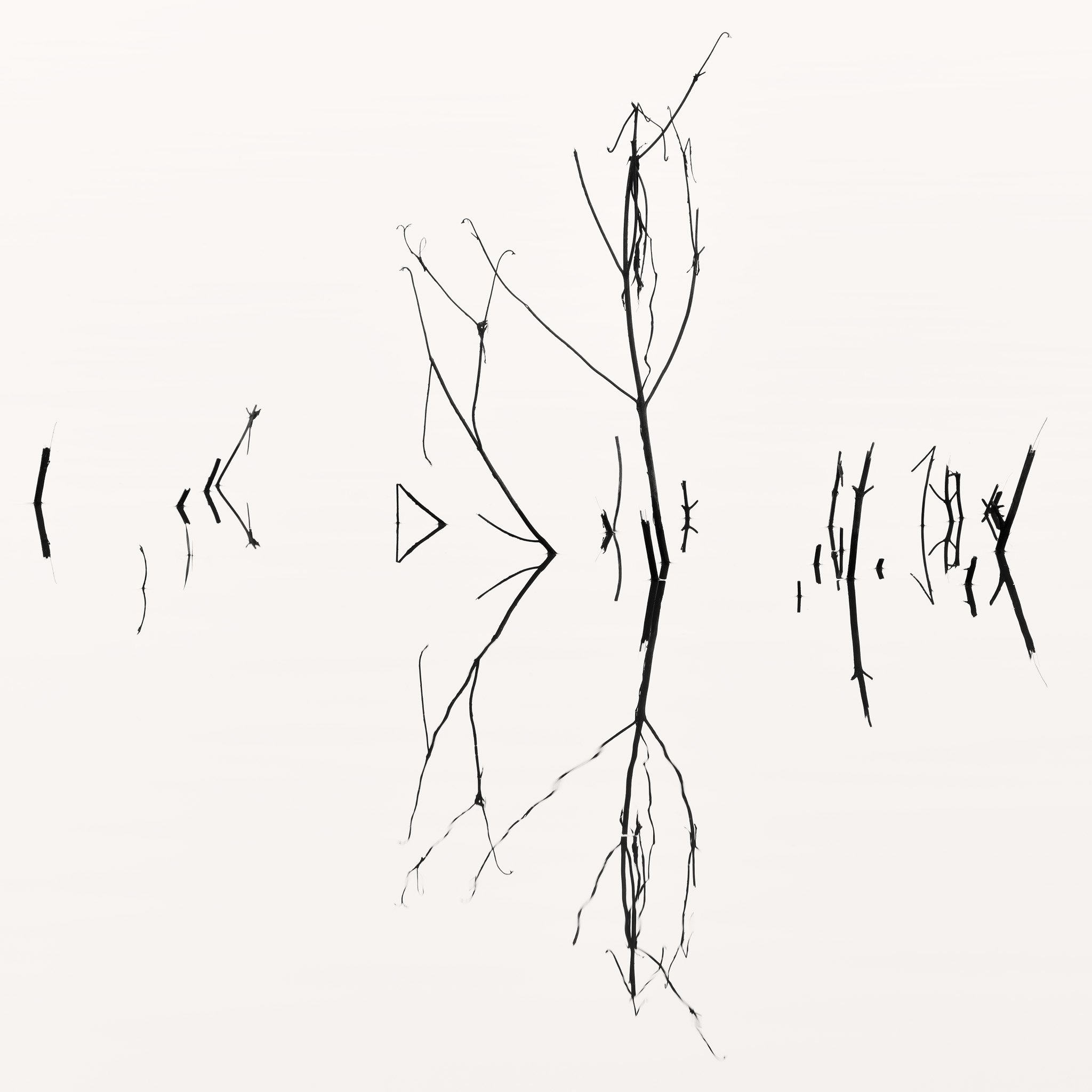 Counterpoint web.jpg