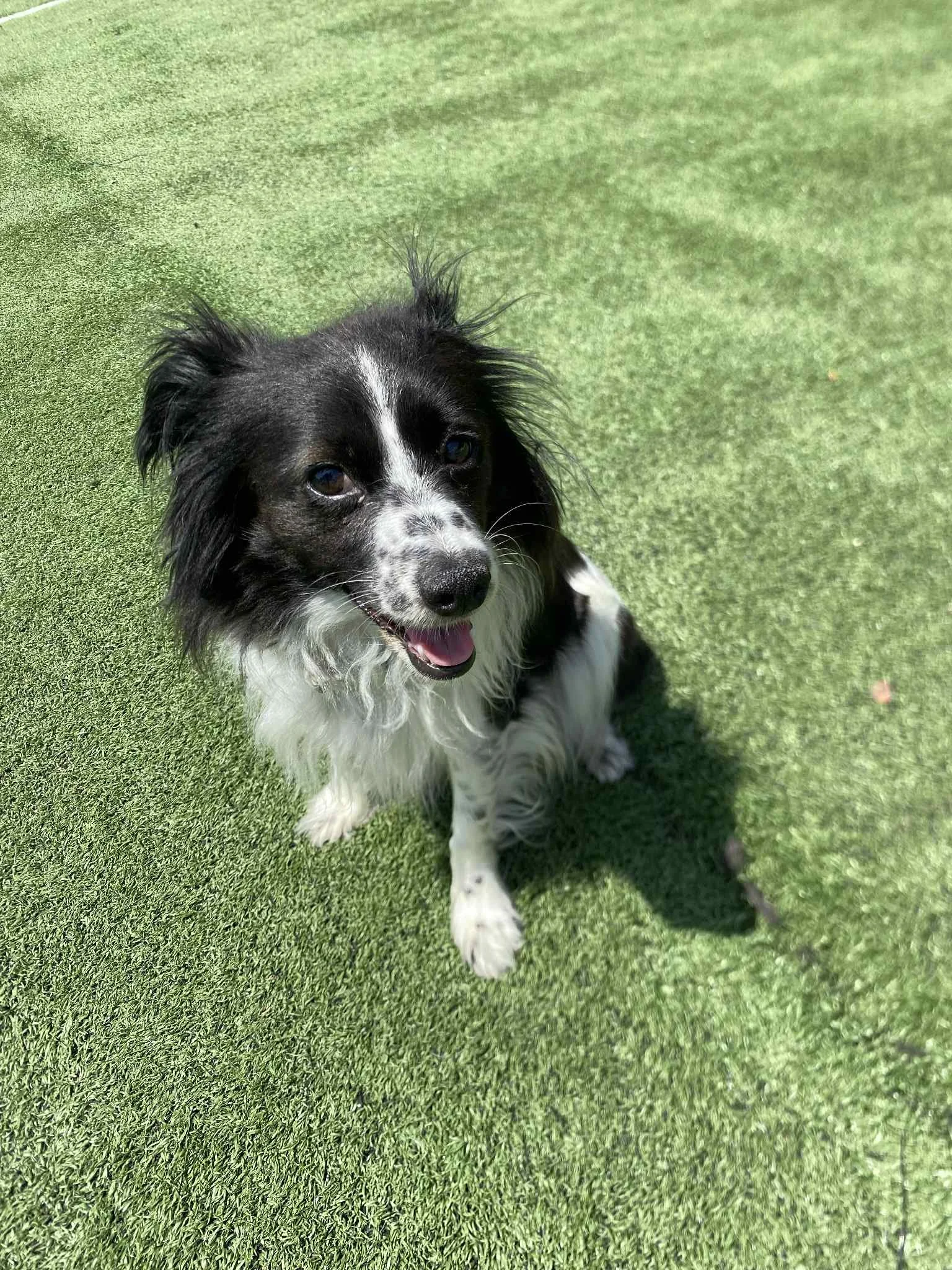 Little Lucy 8.jpg