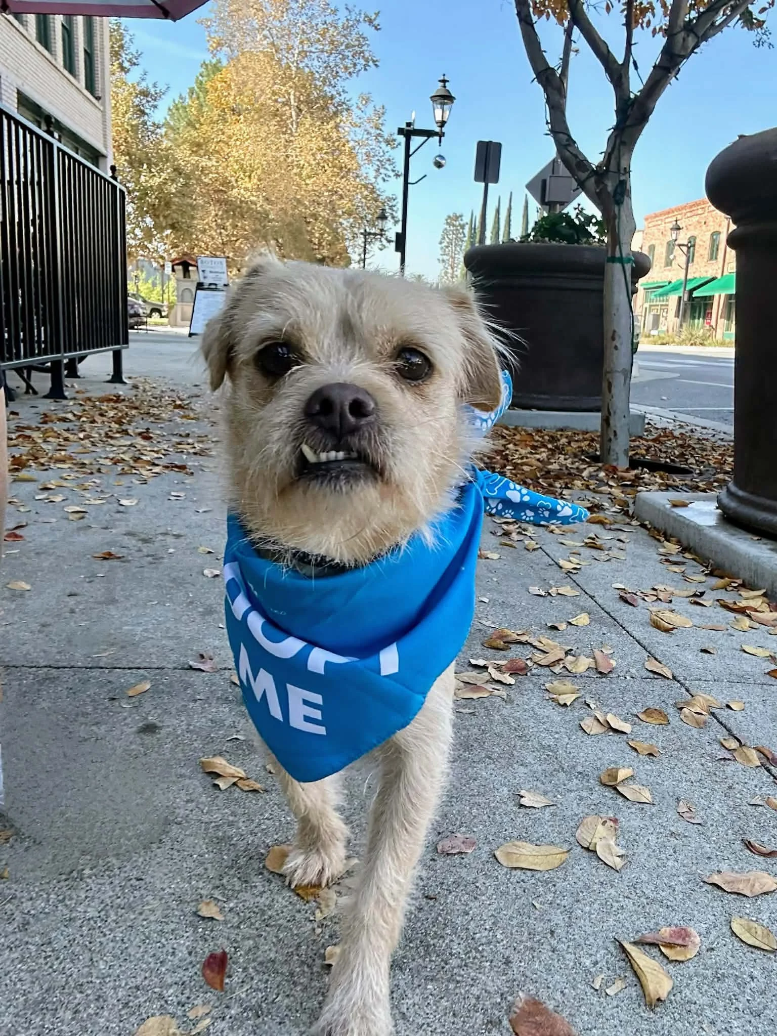 Bodie profile pic.jpg