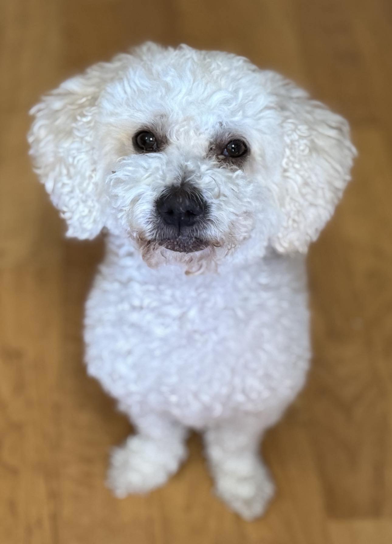 Arlo newest 4.jpg