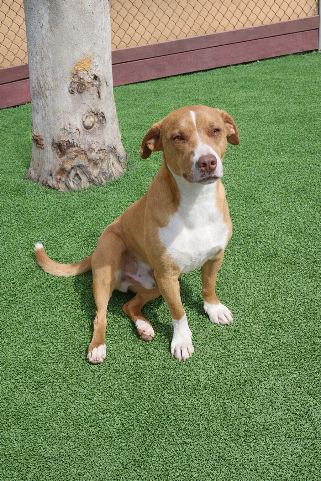 Beck the cool kid.png